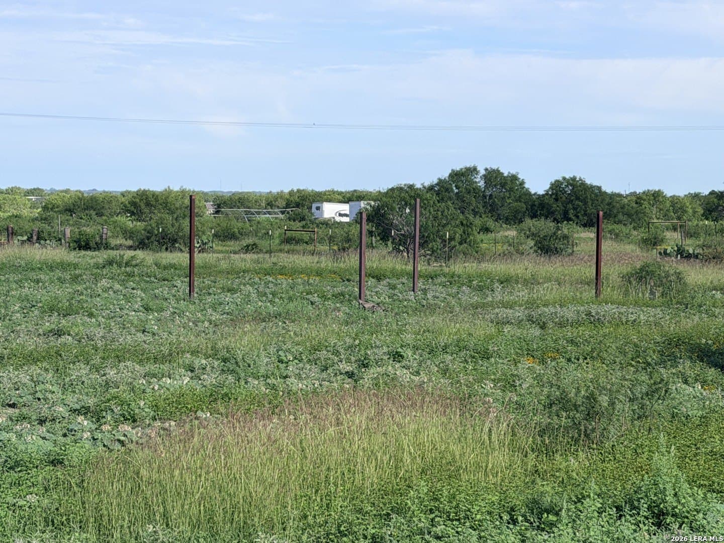 11.52 acres in Atascosa County gallery image 3