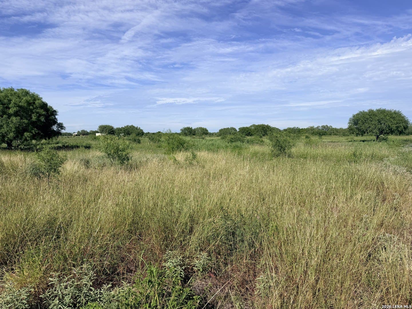 11.52 acres in Atascosa County featured view