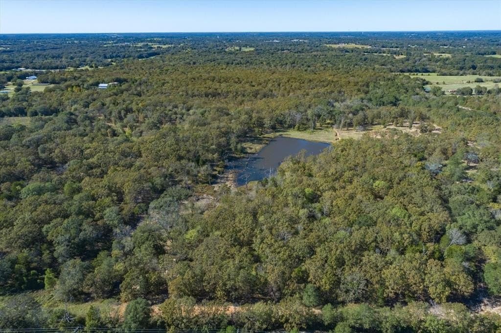 15.4 acres in Van Zandt County gallery image 3