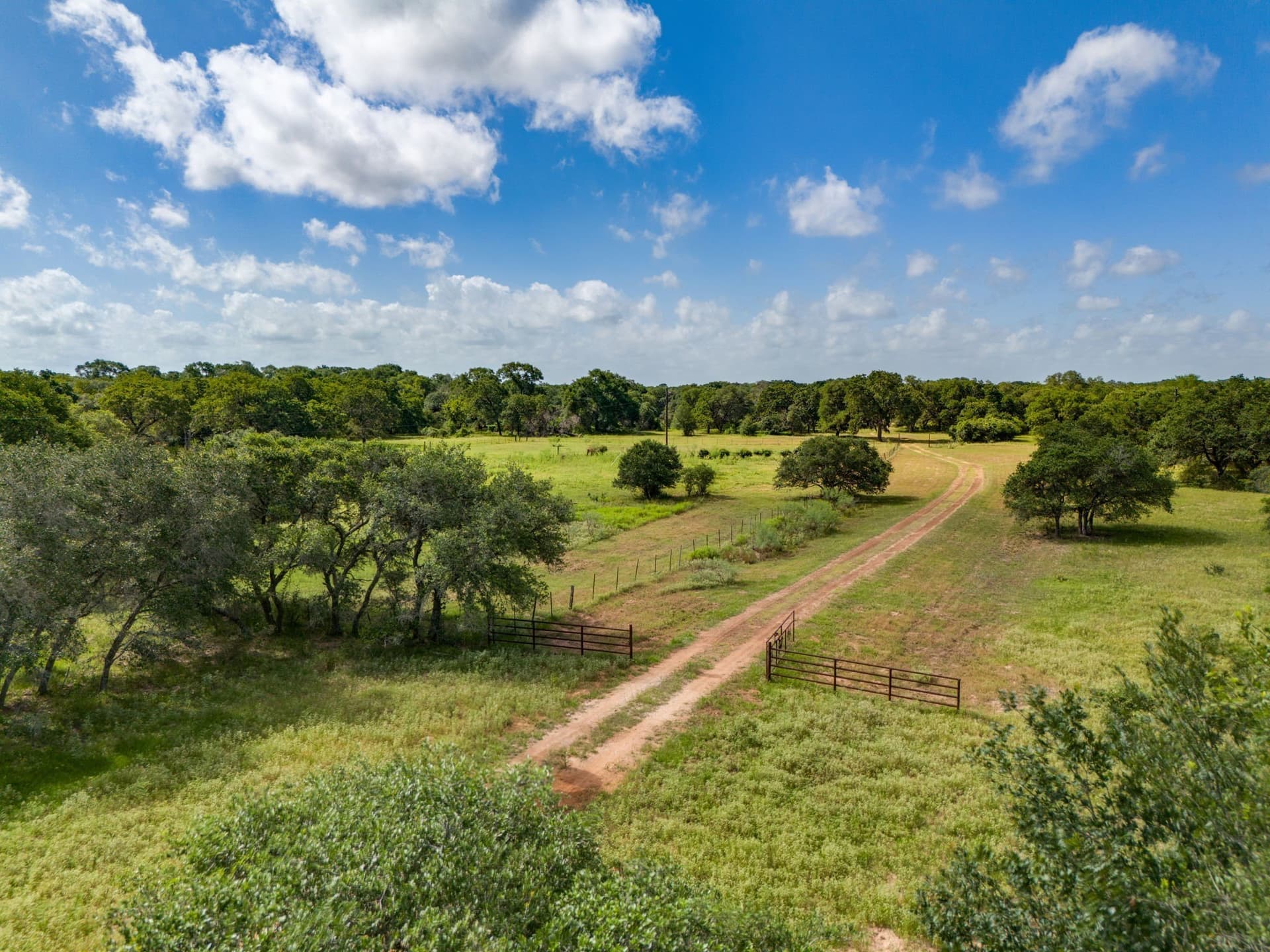 552.77 acres in Colorado County gallery image 4