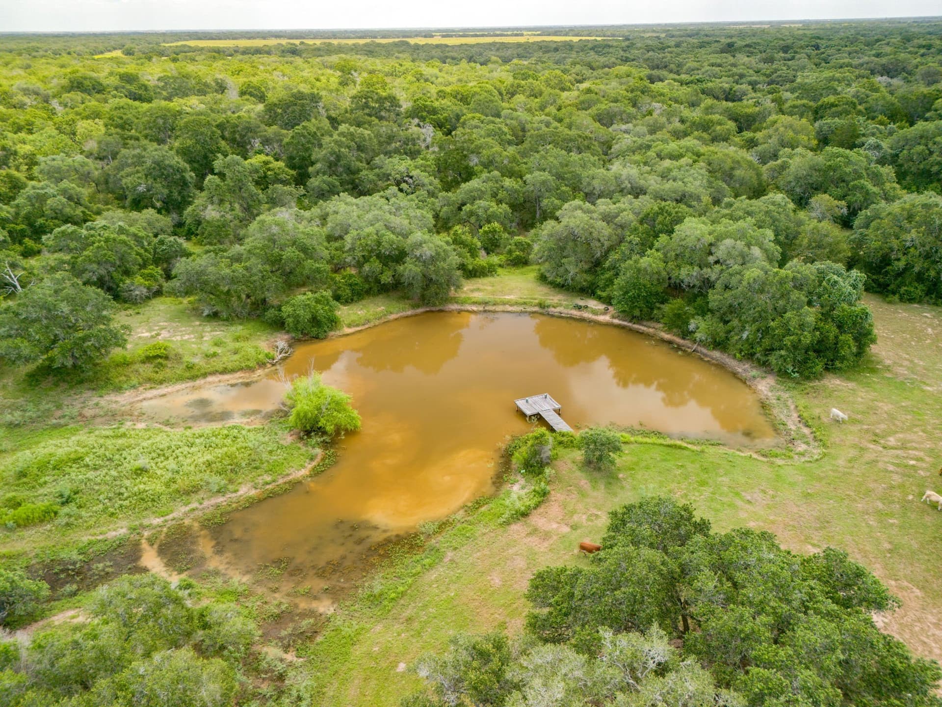 552.77 acres in Colorado County - photo 34