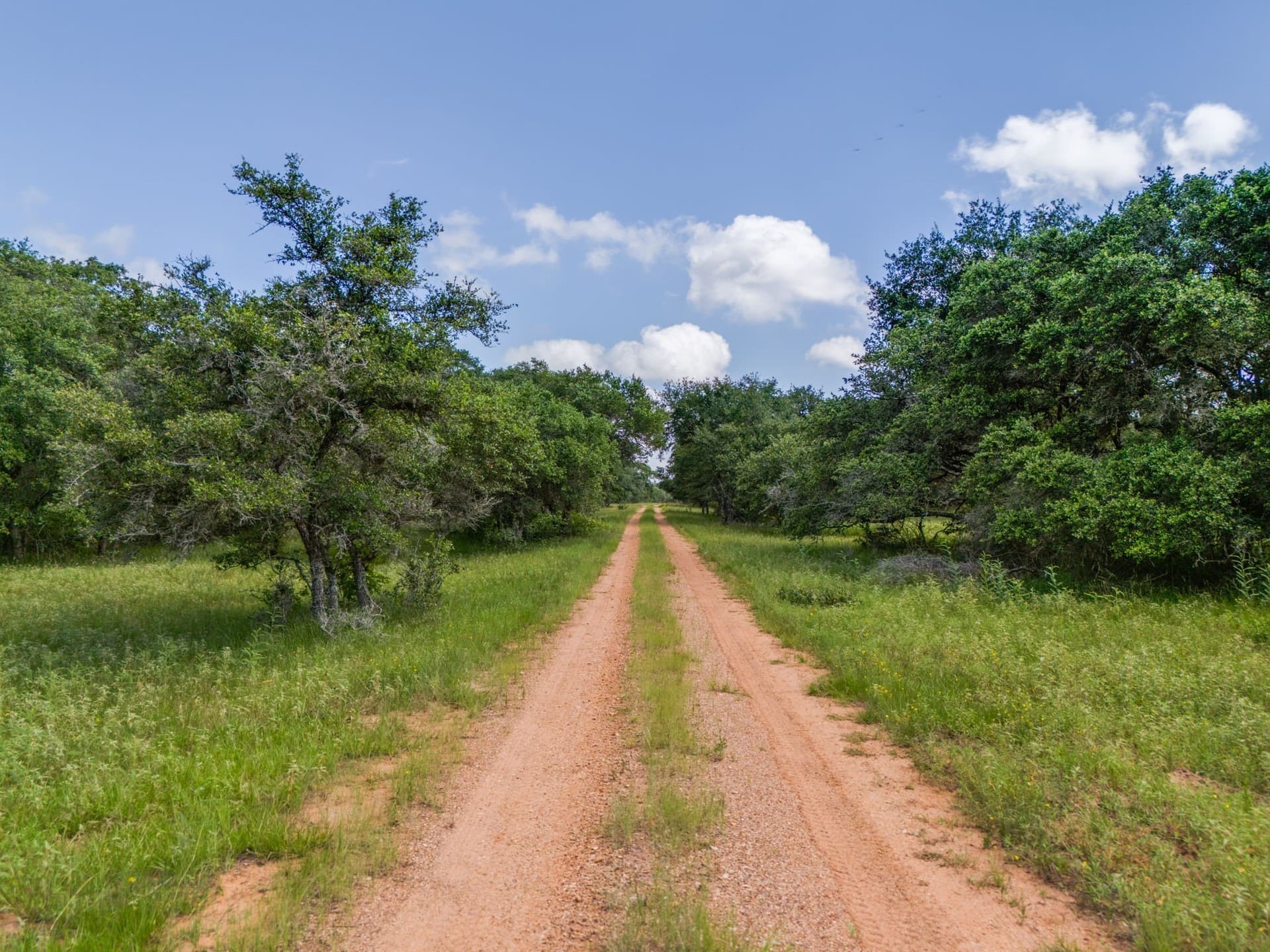 552.77 acres in Colorado County gallery image 2