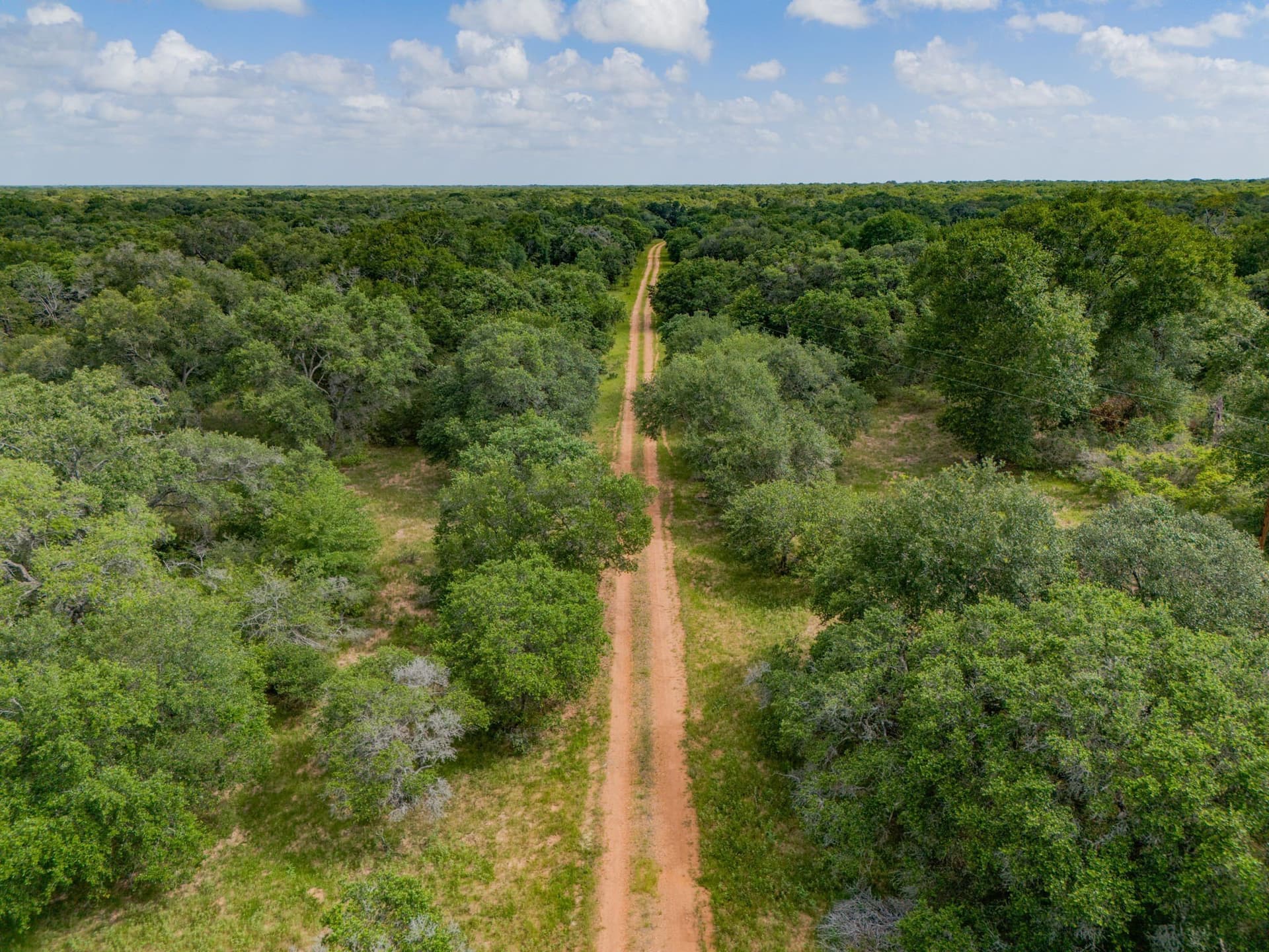 552.77 acres in Colorado County gallery image 3