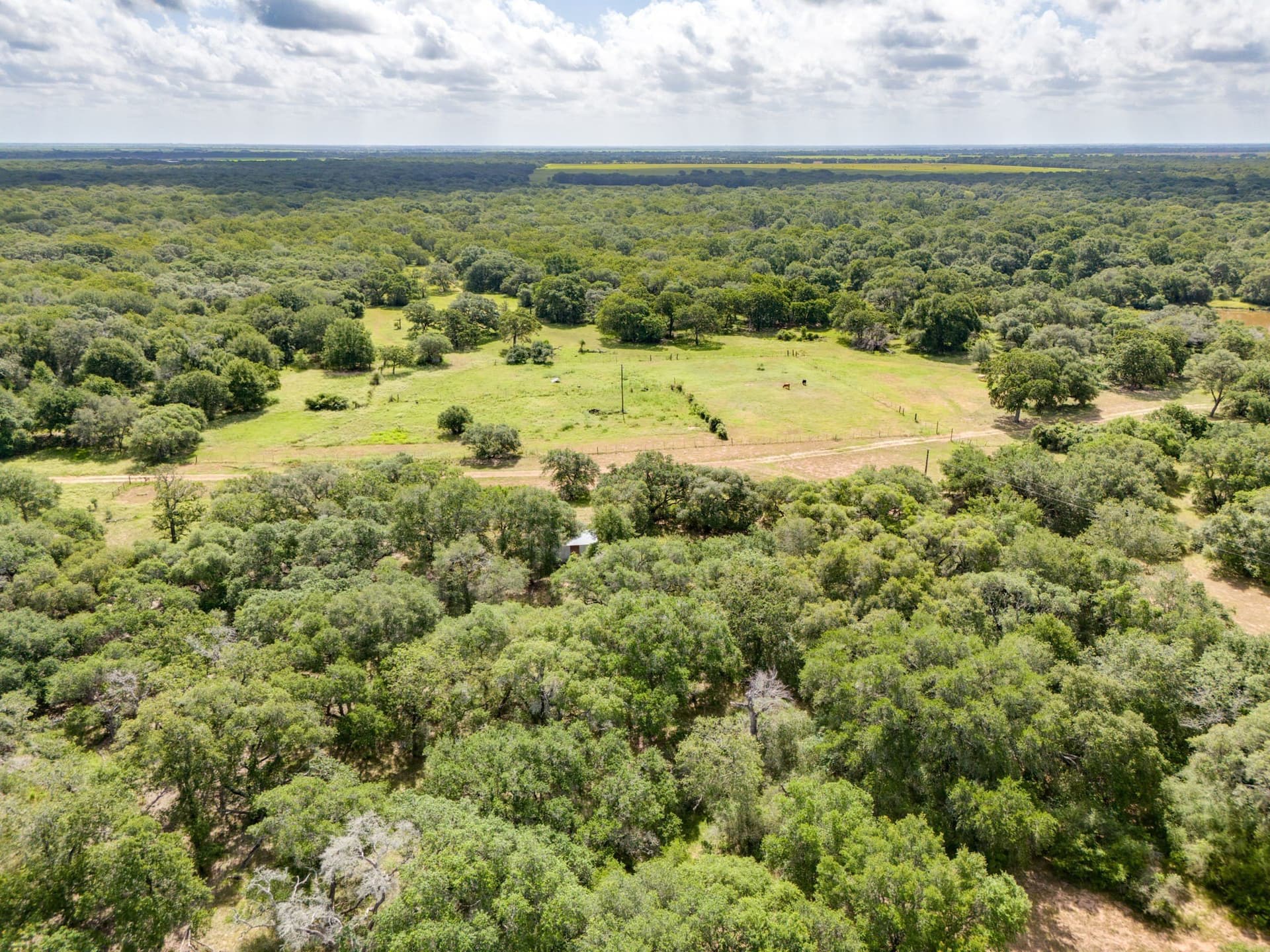 552.77 acres in Colorado County - photo 11