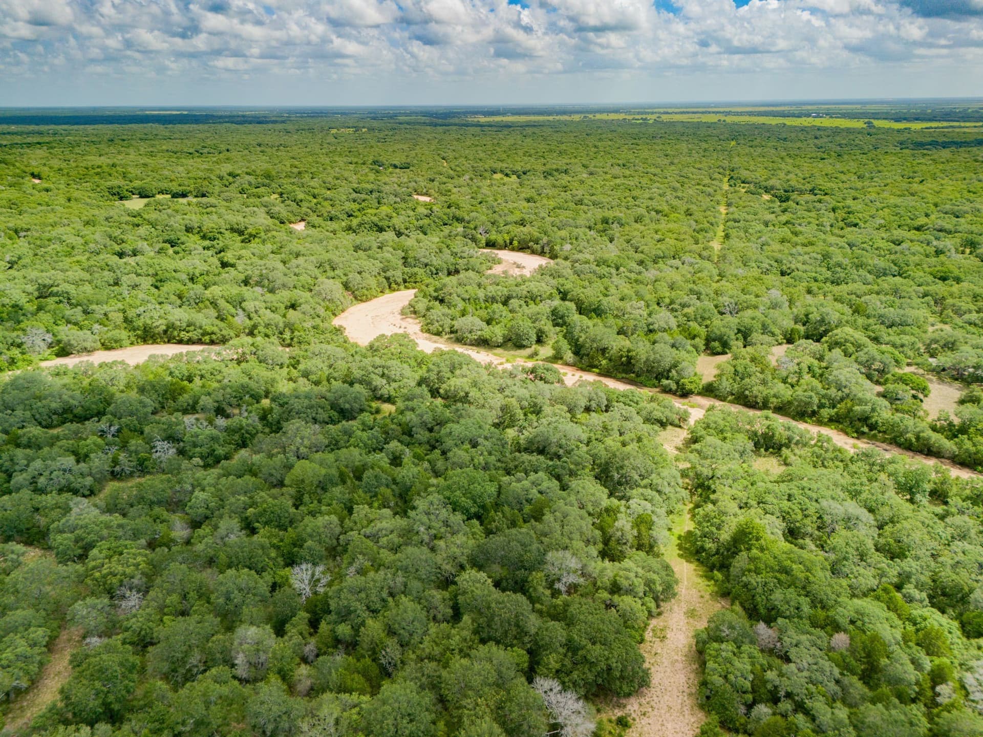 552.77 acres in Colorado County - photo 19