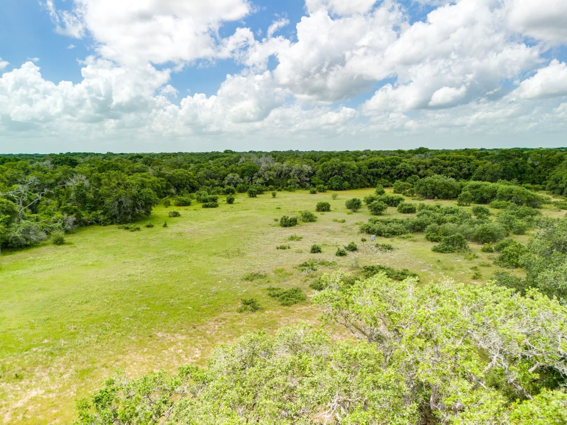 552.77 acres in Colorado County - photo 30