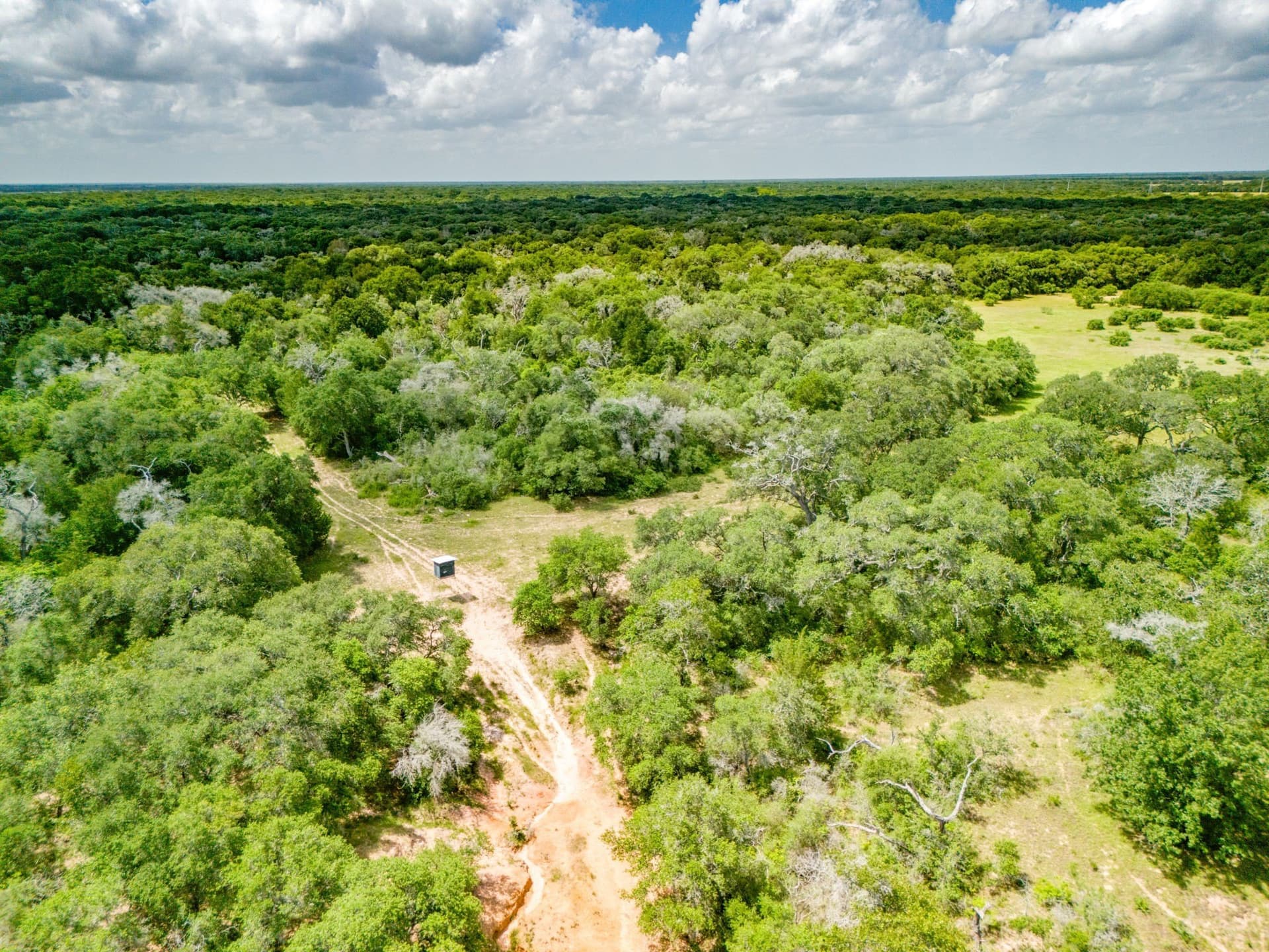 552.77 acres in Colorado County - photo 31