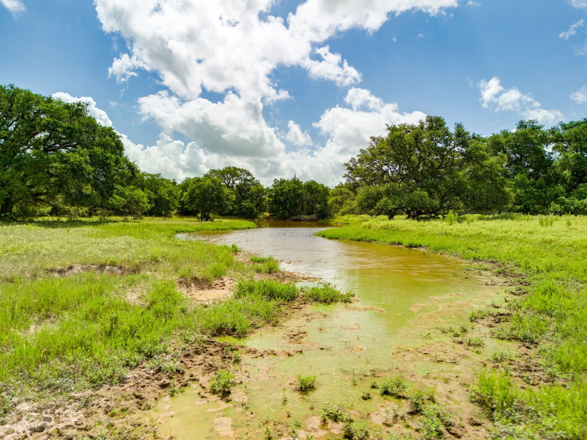 552.77 acres in Colorado County - photo 20