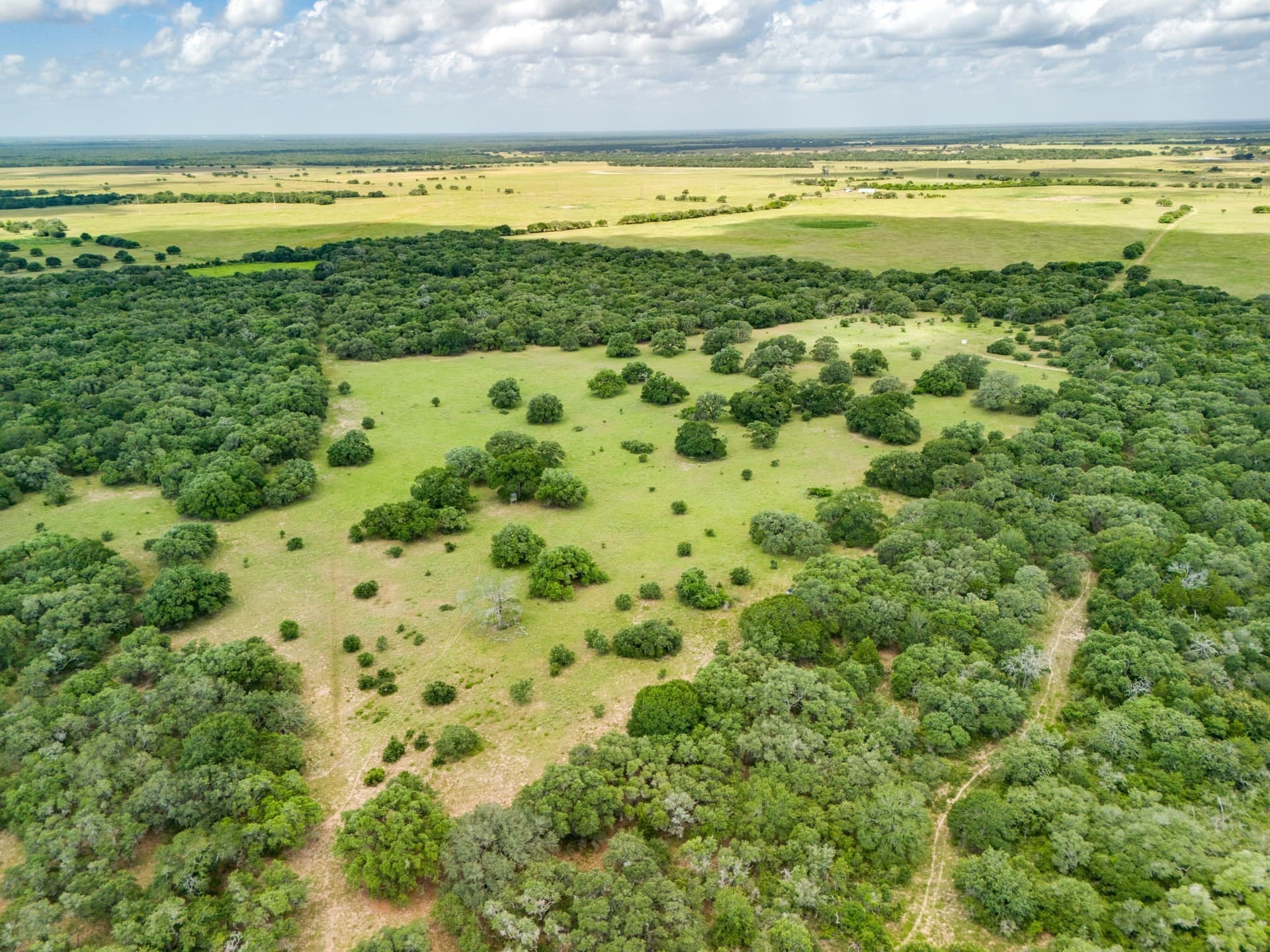 552.77 acres in Colorado County - photo 17
