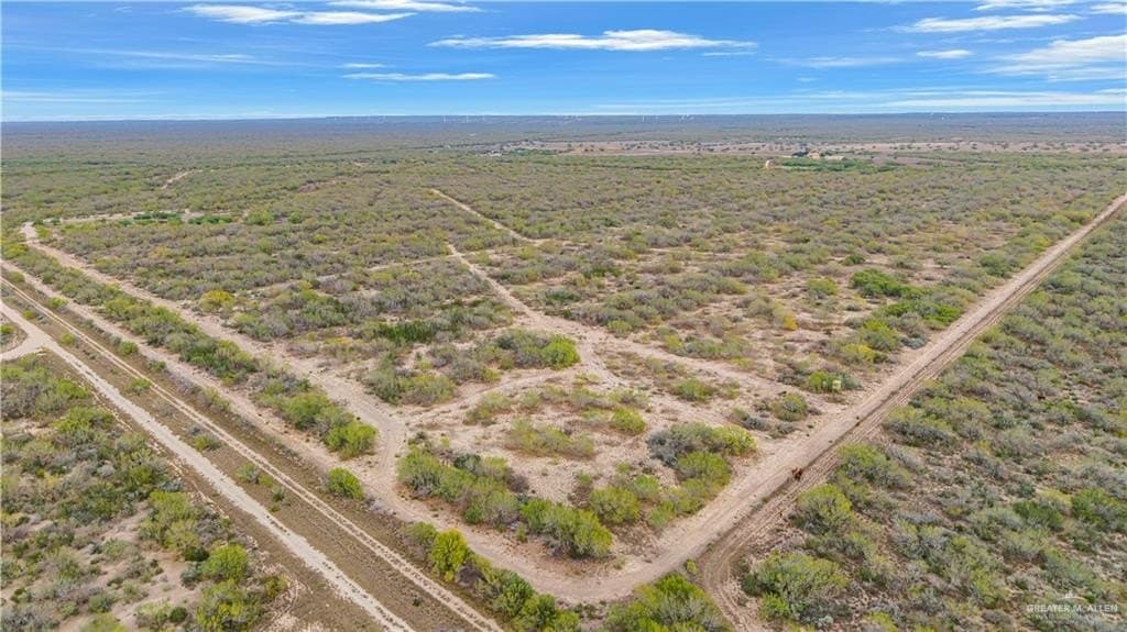 265 acres in Webb County featured view