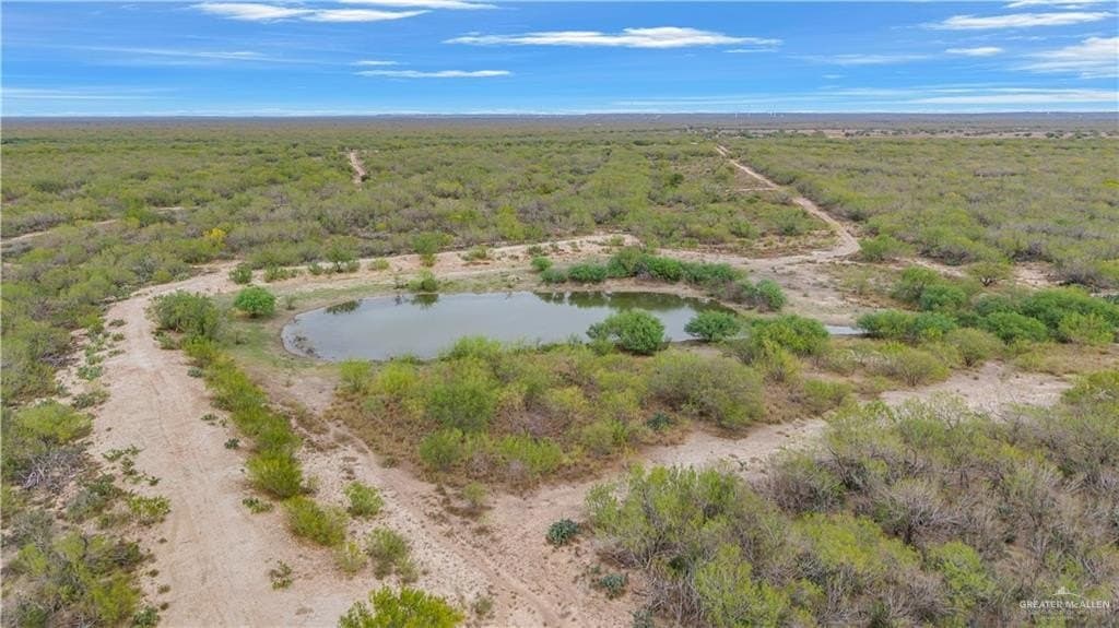 265 acres in Webb County gallery image 4