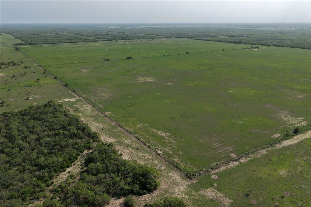 199.86 acres in Jim Wells County gallery image 4