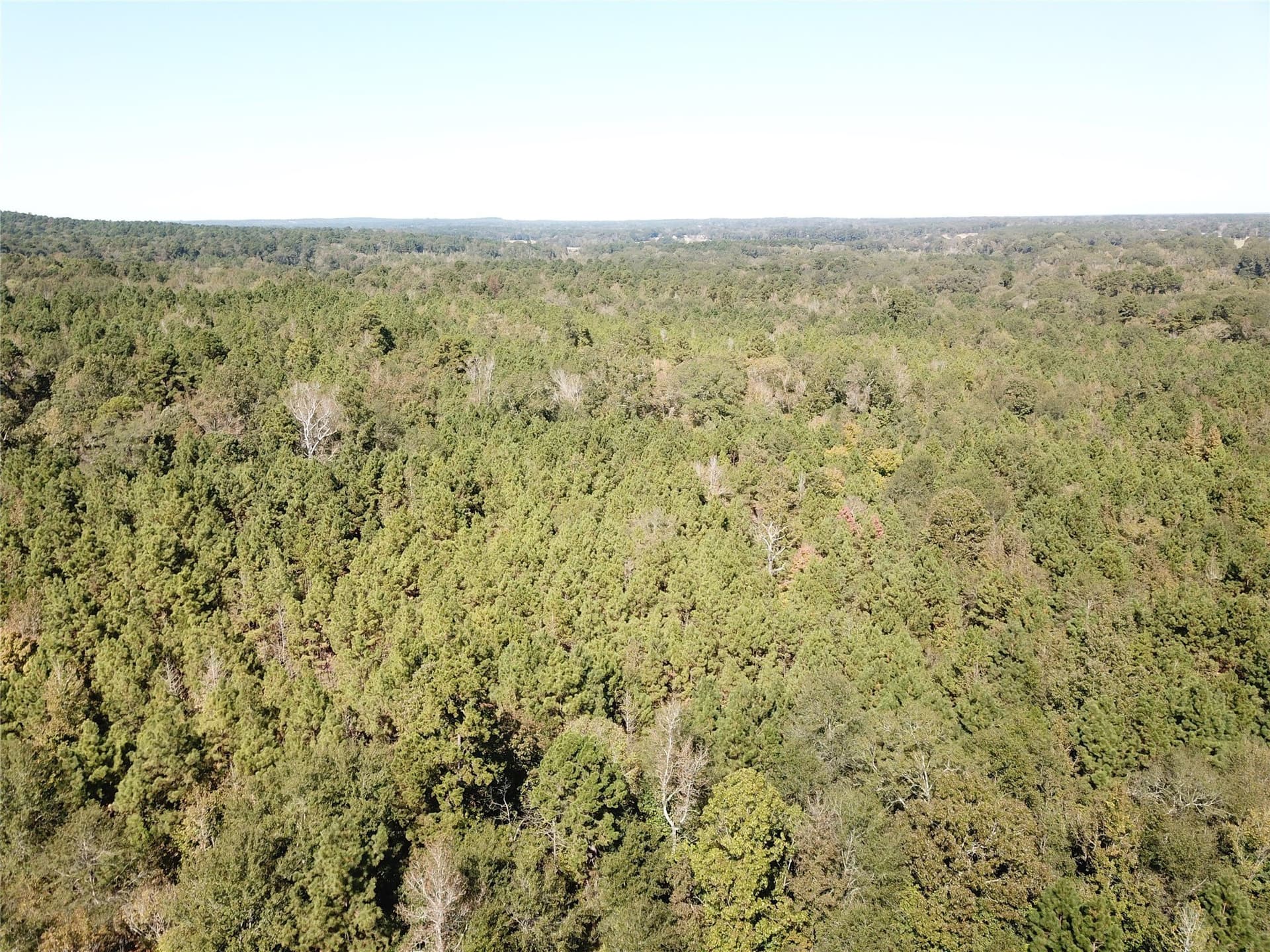 273.81 acres in Nacogdoches County - photo 20