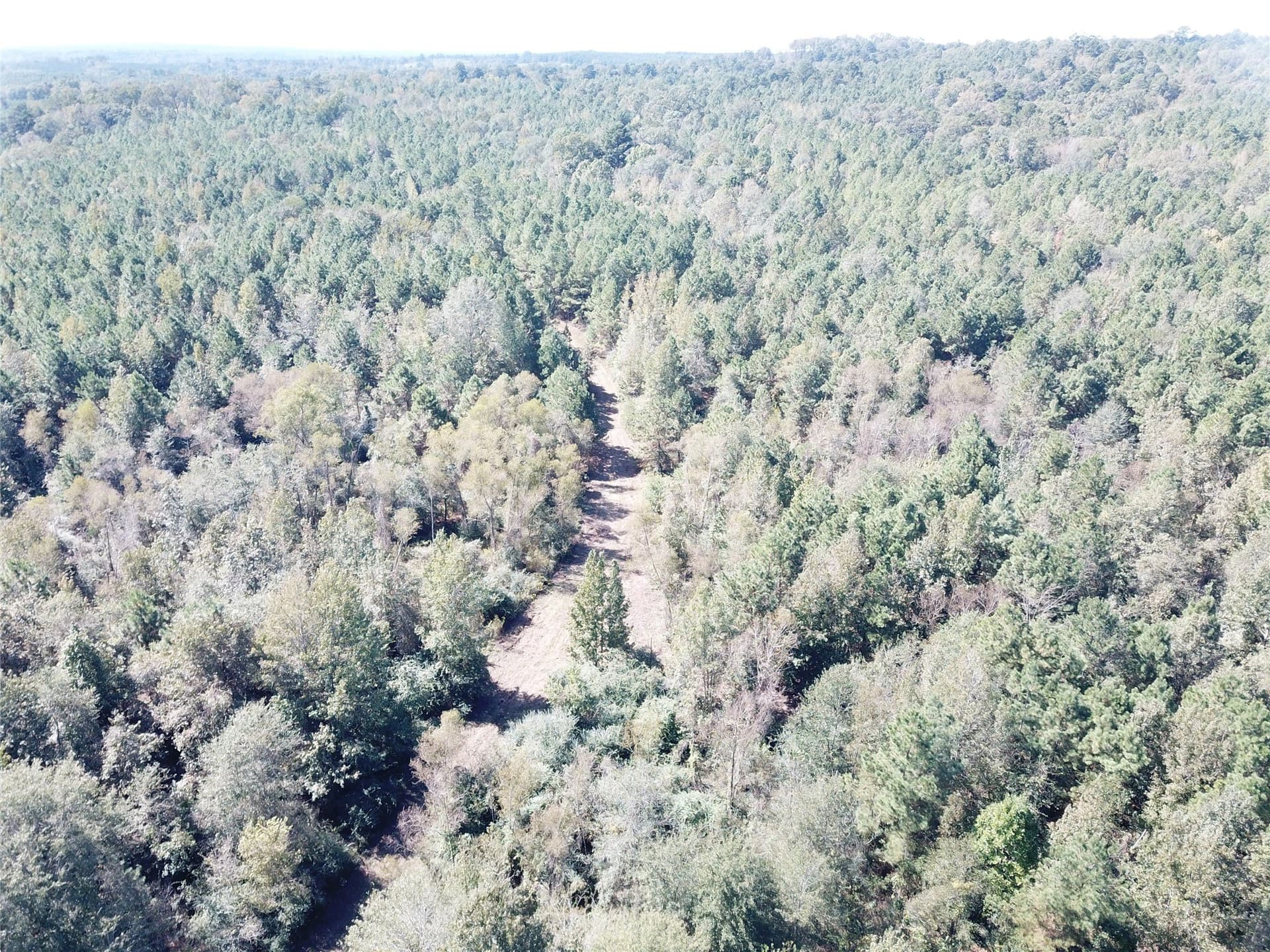 273.81 acres in Nacogdoches County - photo 17