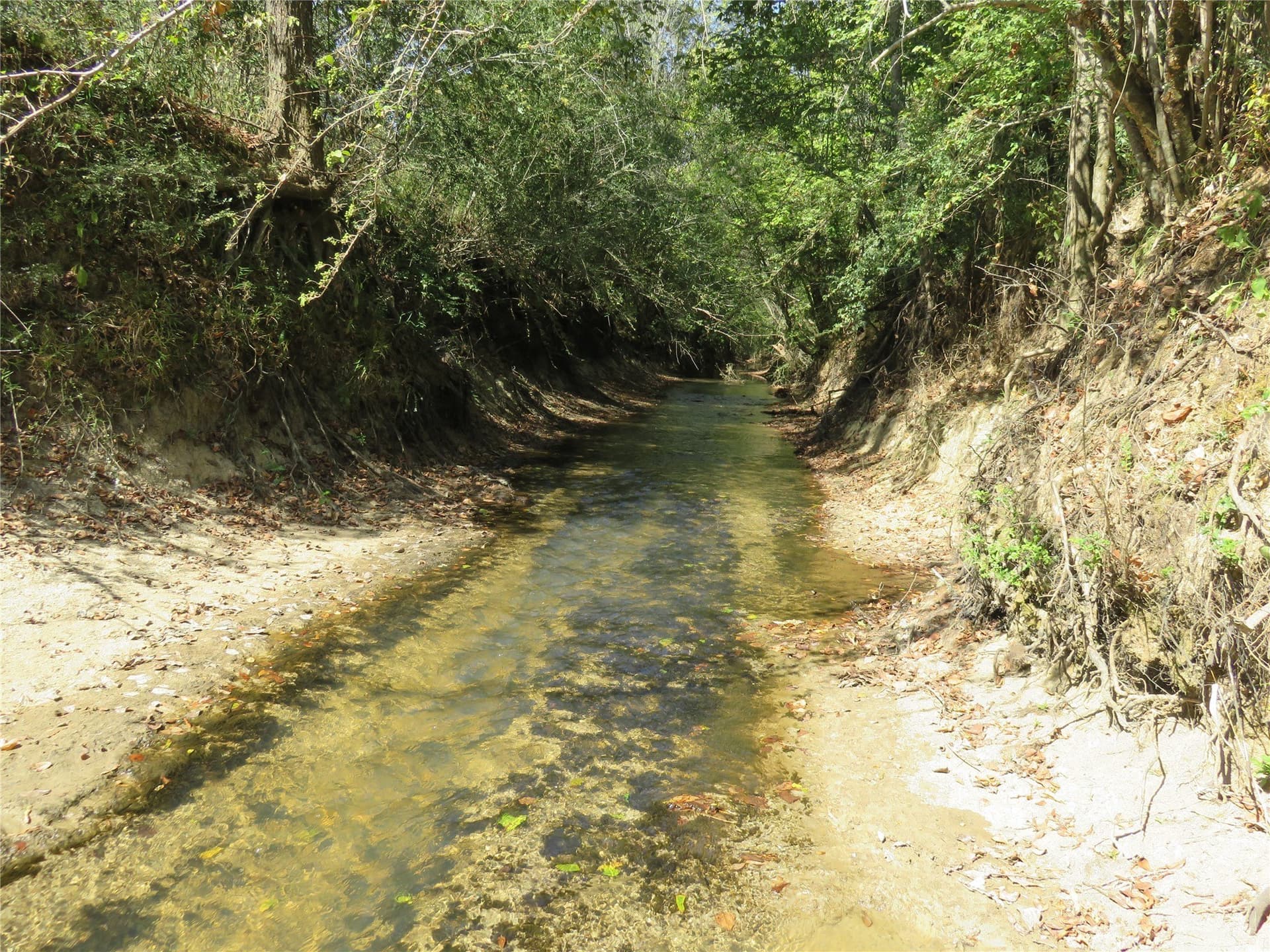 273.81 acres in Nacogdoches County - photo 2