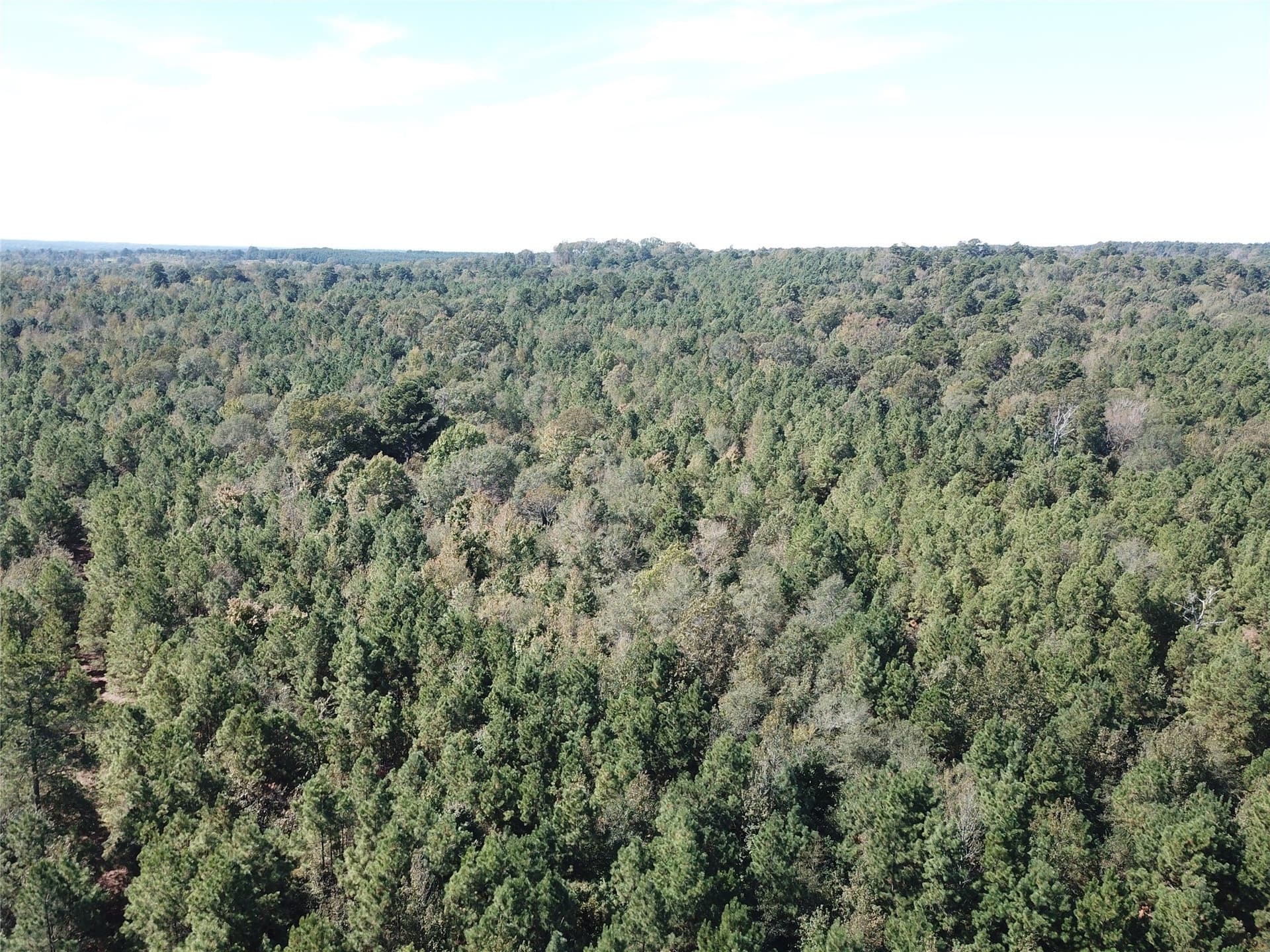 273.81 acres in Nacogdoches County - photo 18