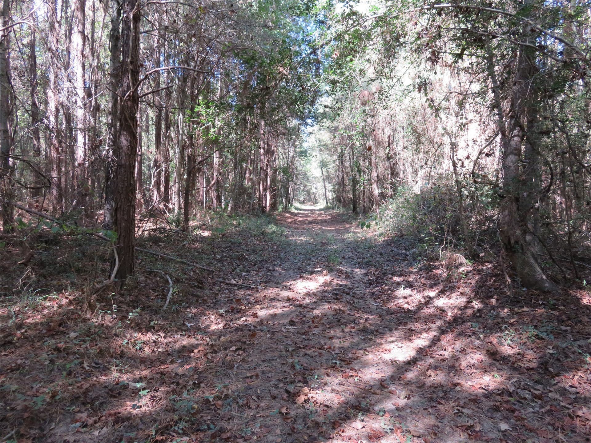 273.81 acres in Nacogdoches County - photo 15