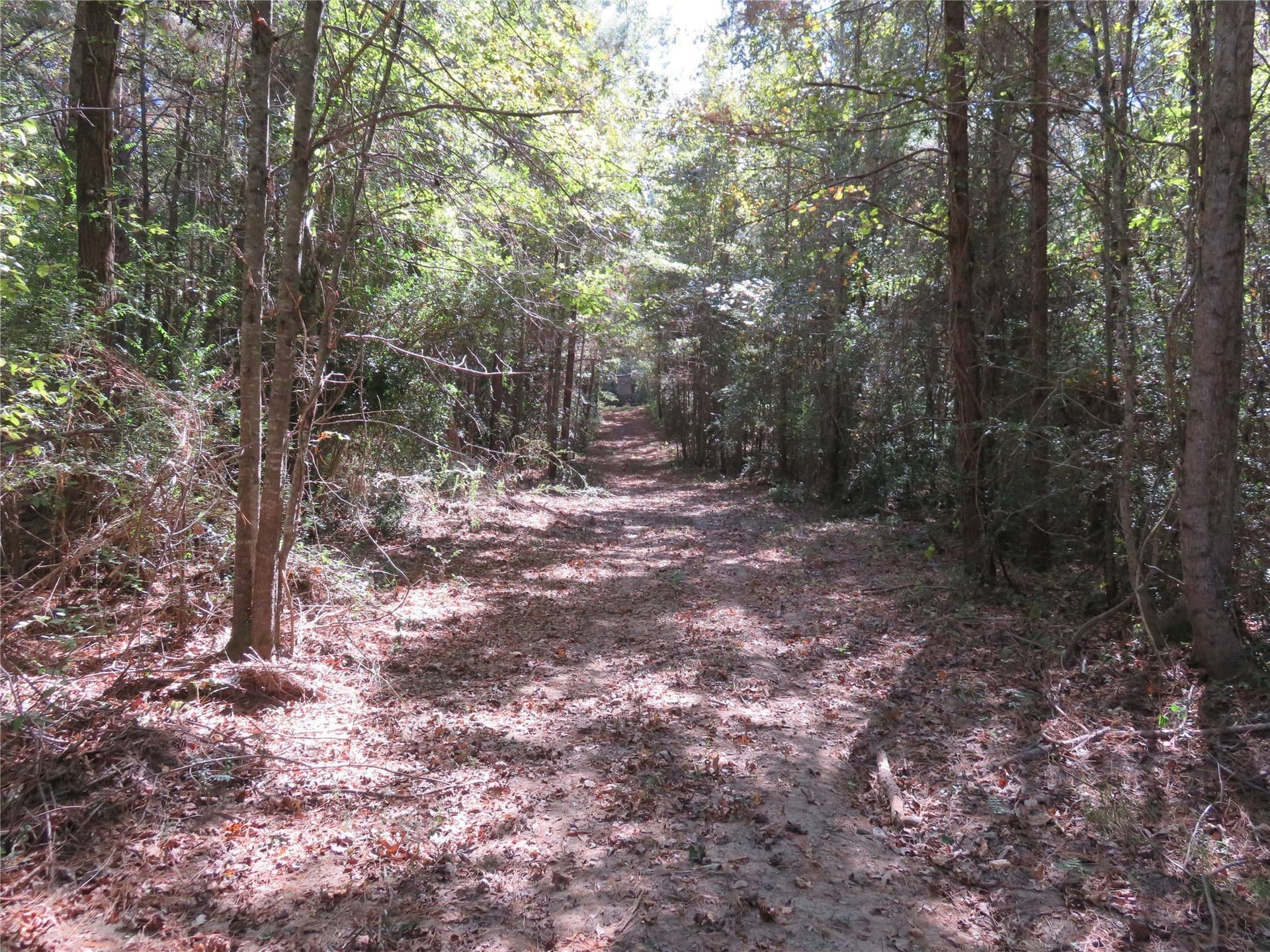 273.81 acres in Nacogdoches County - photo 6