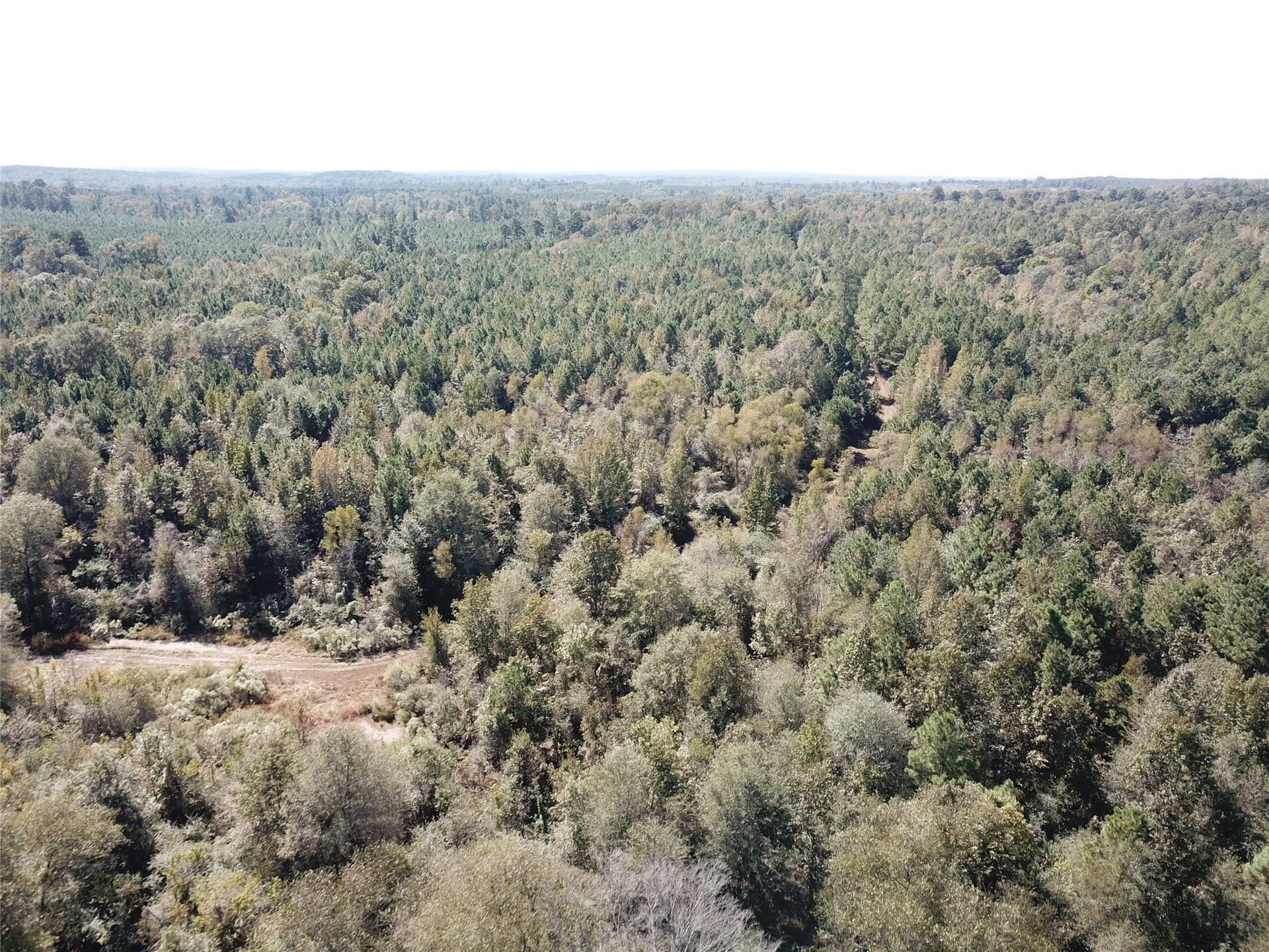 273.81 acres in Nacogdoches County - photo 23