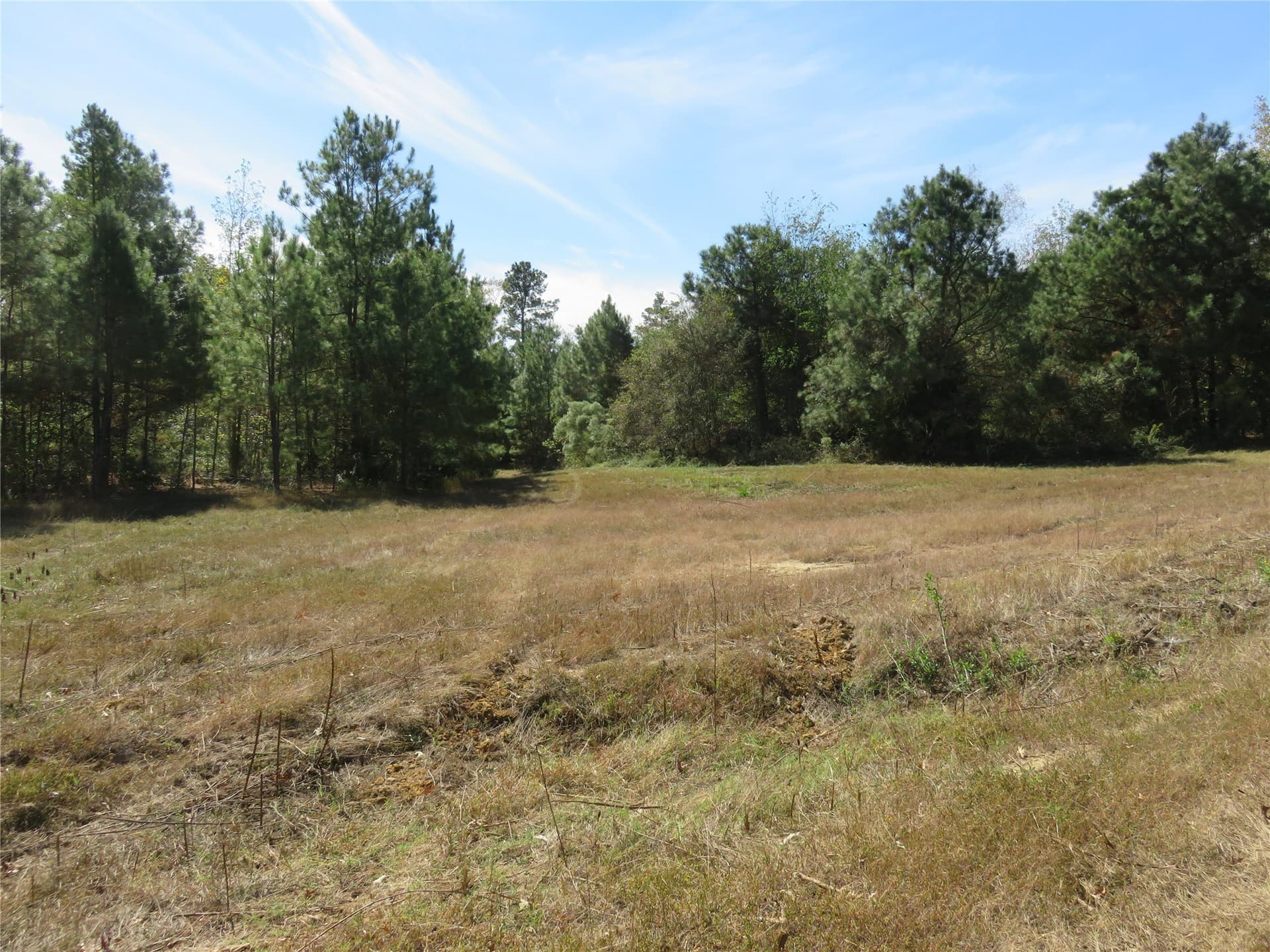 273.81 acres in Nacogdoches County - photo 8