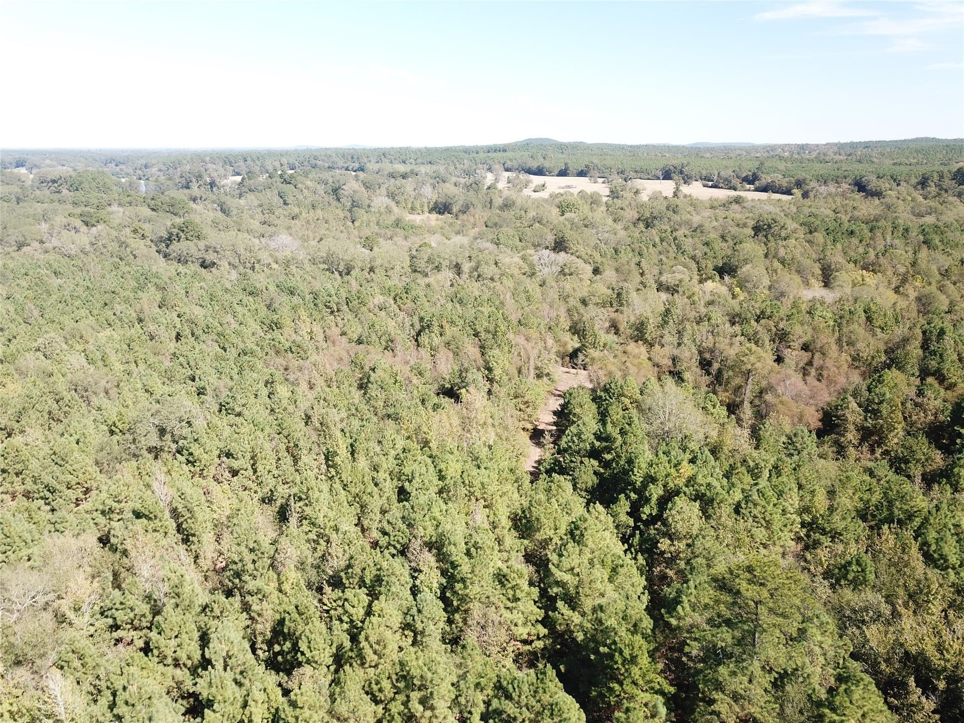 273.81 acres in Nacogdoches County - photo 19
