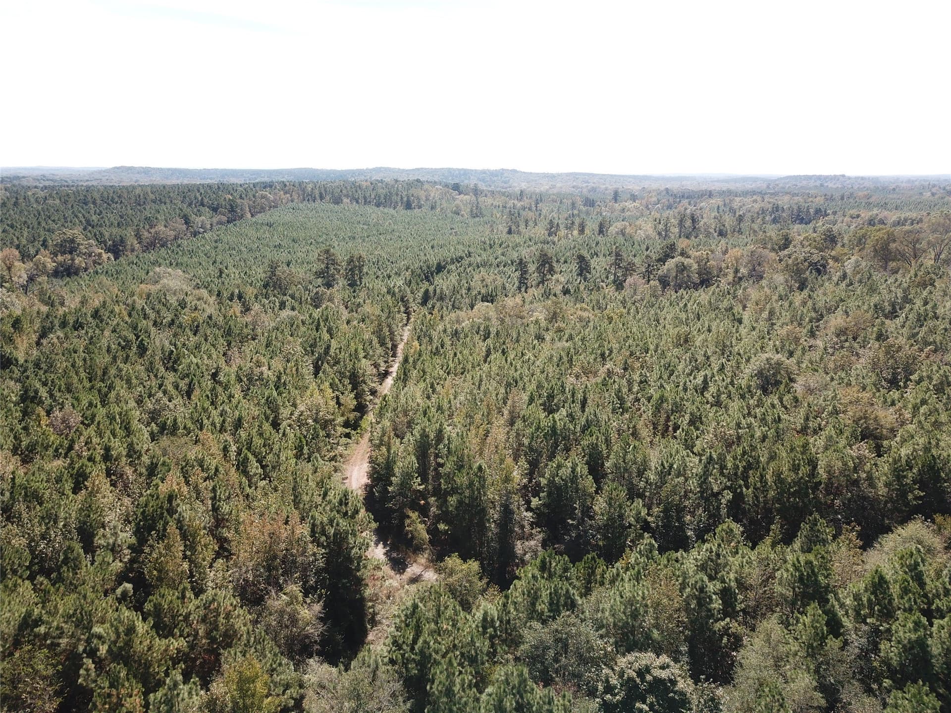 273.81 acres in Nacogdoches County - photo 21