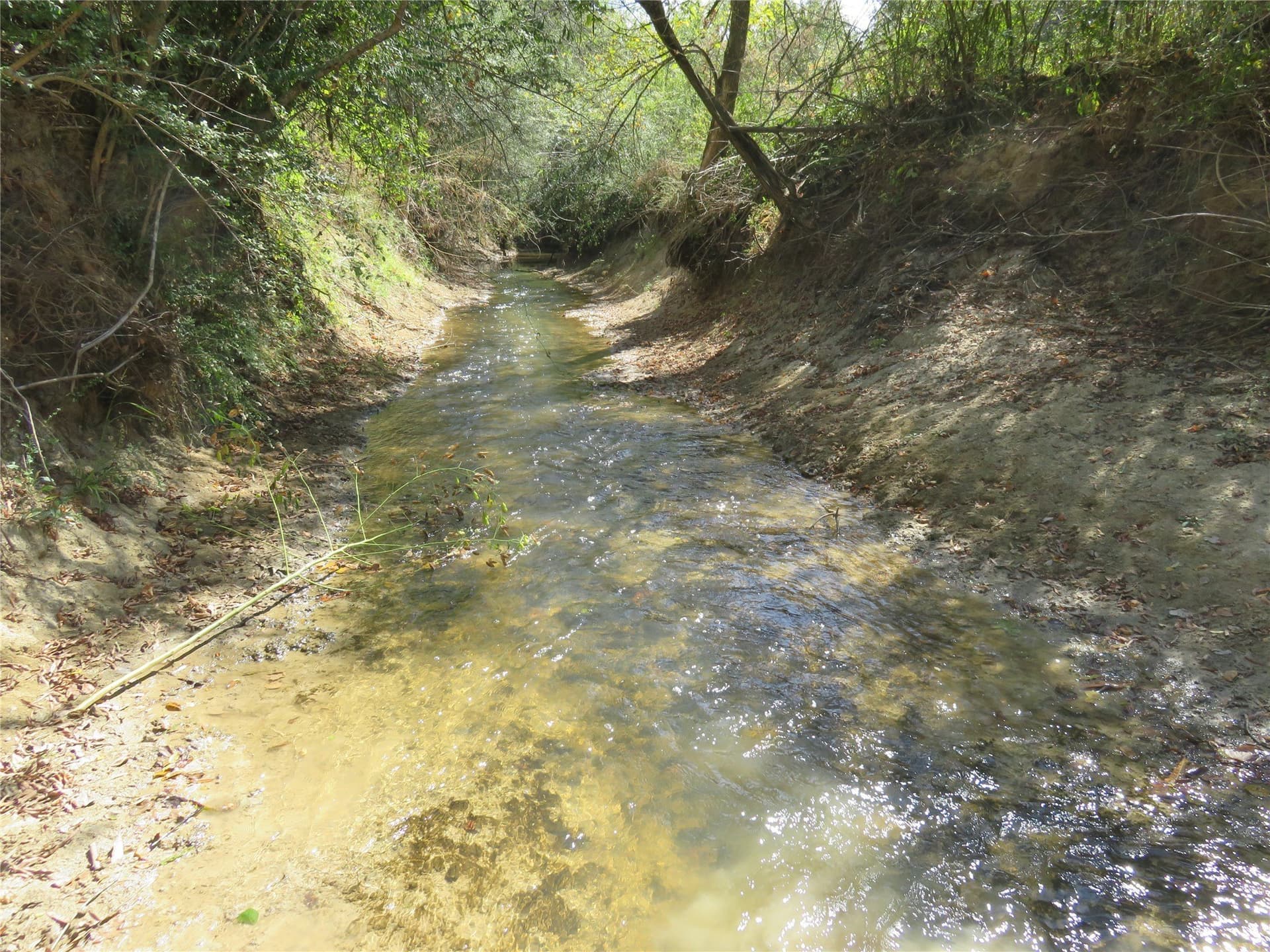 273.81 acres in Nacogdoches County - photo 4