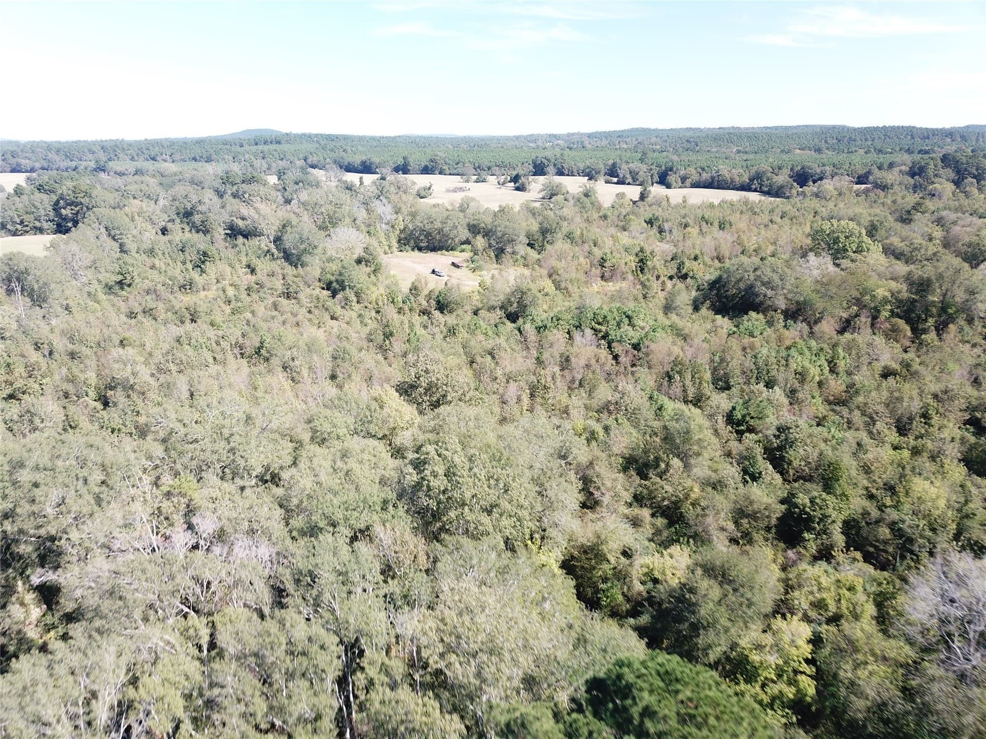 273.81 acres in Nacogdoches County - photo 25