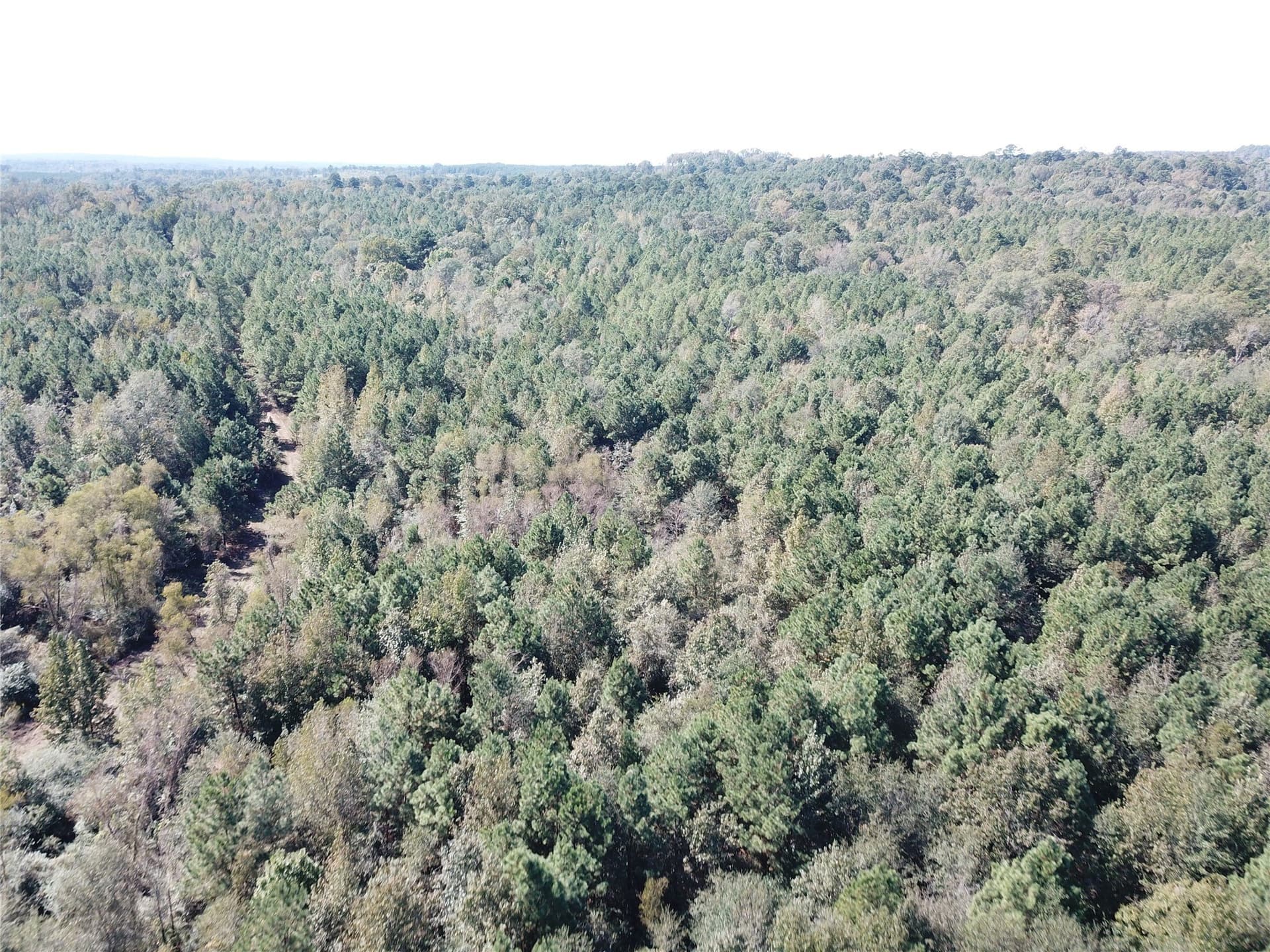 273.81 acres in Nacogdoches County - photo 24