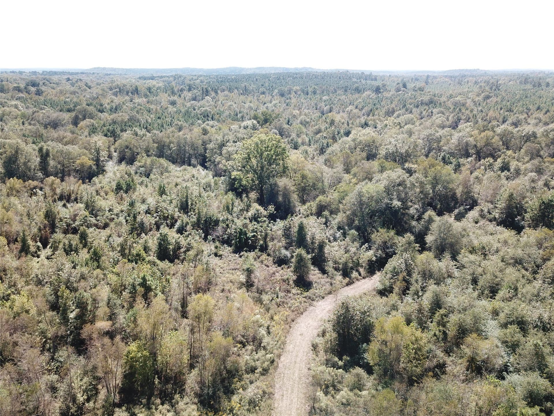 273.81 acres in Nacogdoches County - photo 16