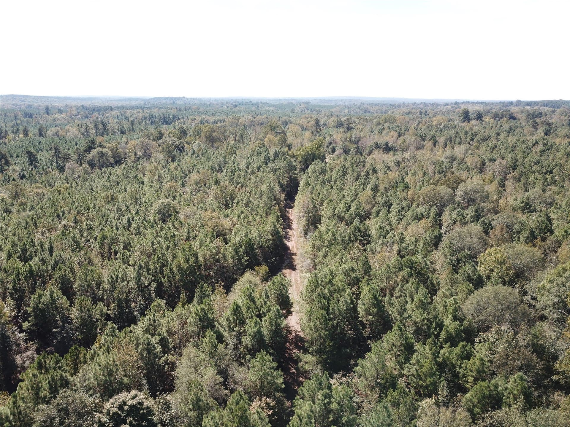 273.81 acres in Nacogdoches County - photo 22