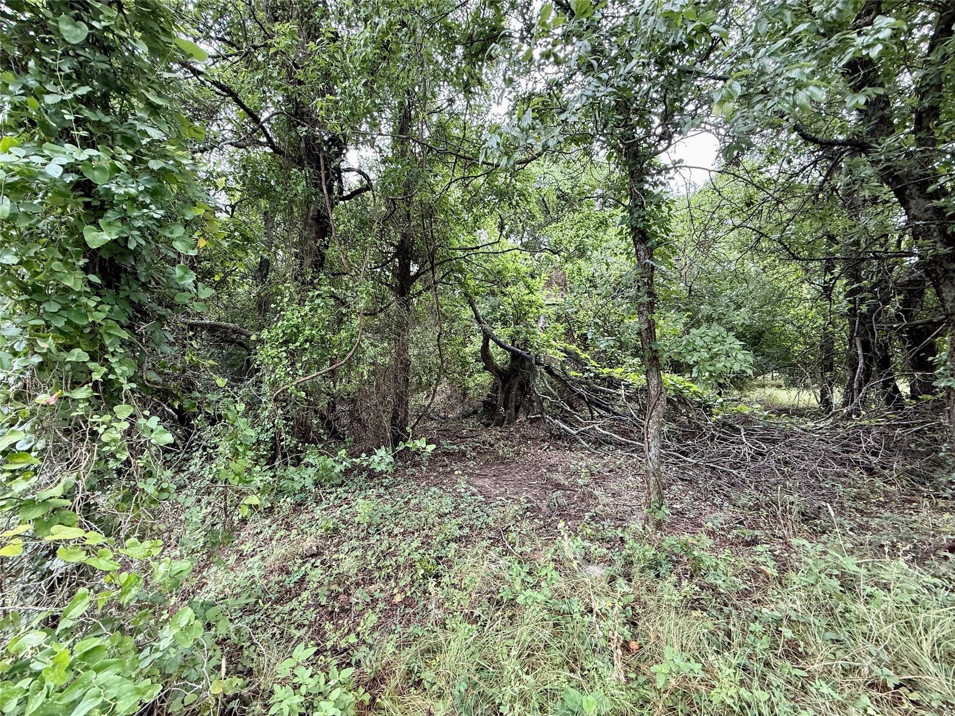 62.5 acres in Erath County - photo 18