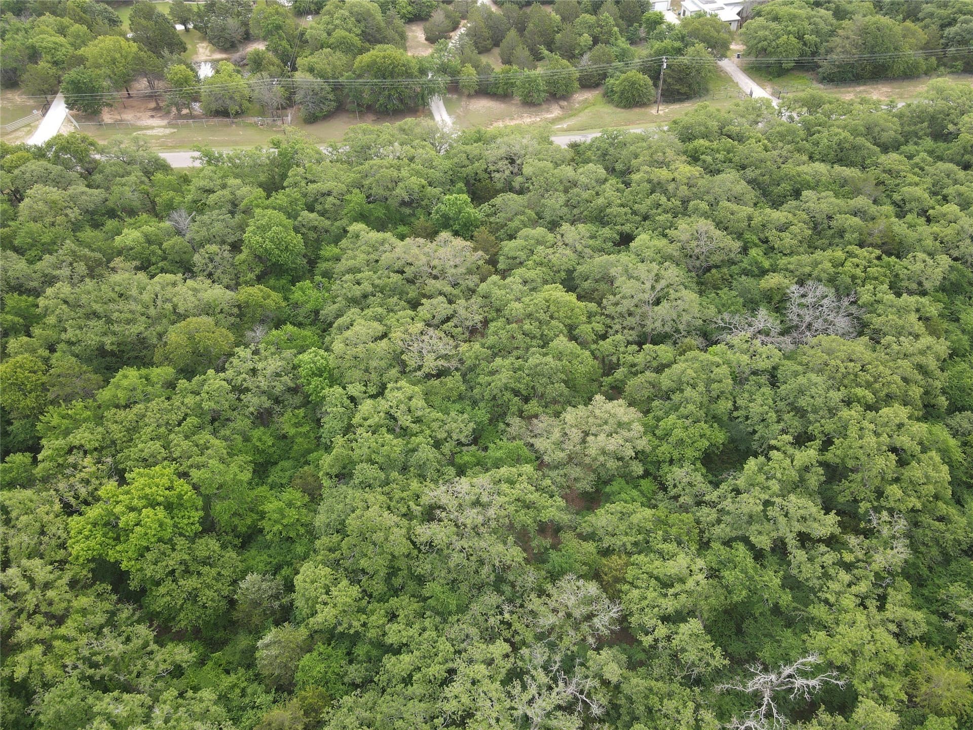 5.05 acres in Cooke County - photo 10
