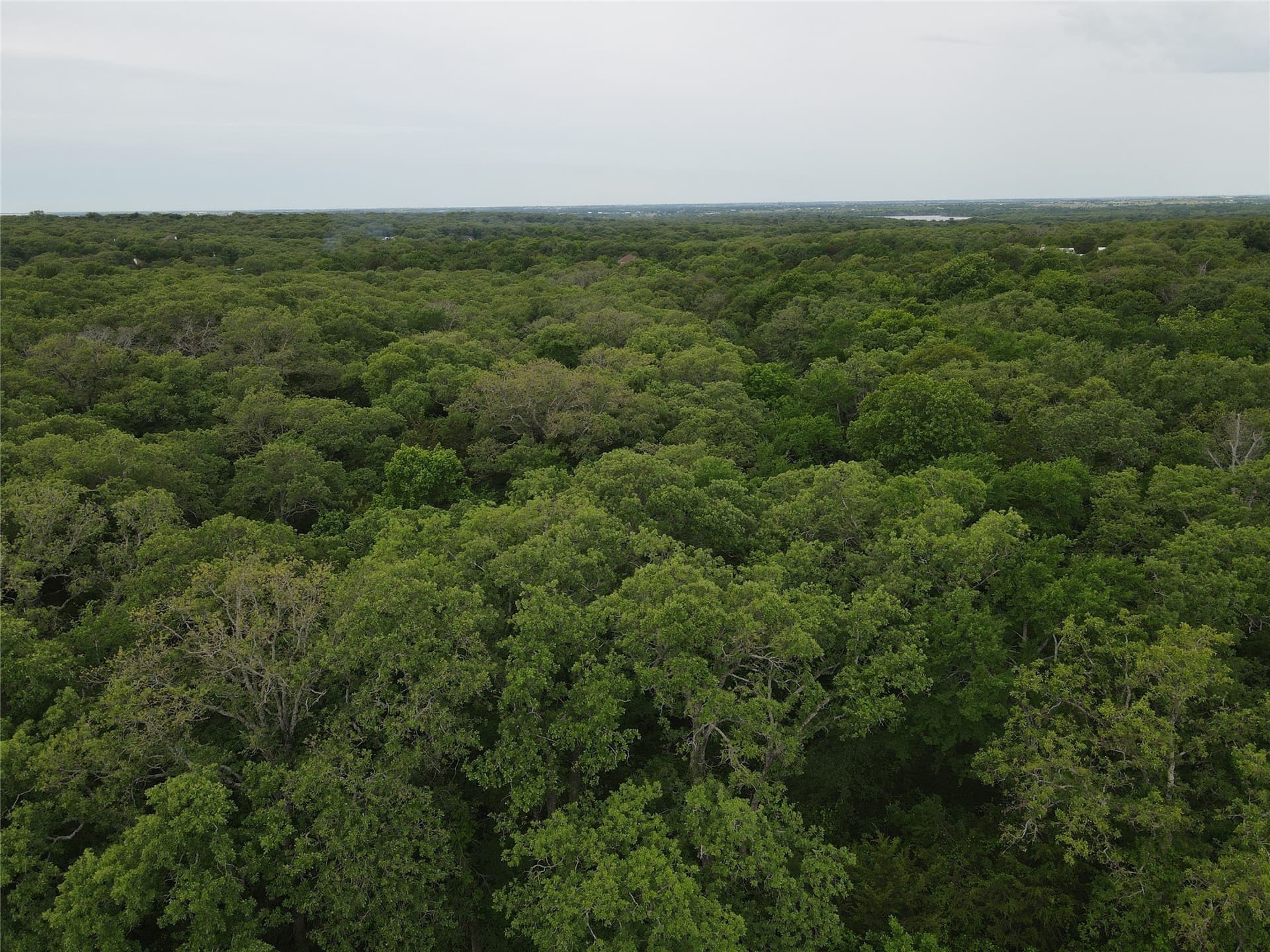 5.05 acres in Cooke County - photo 12