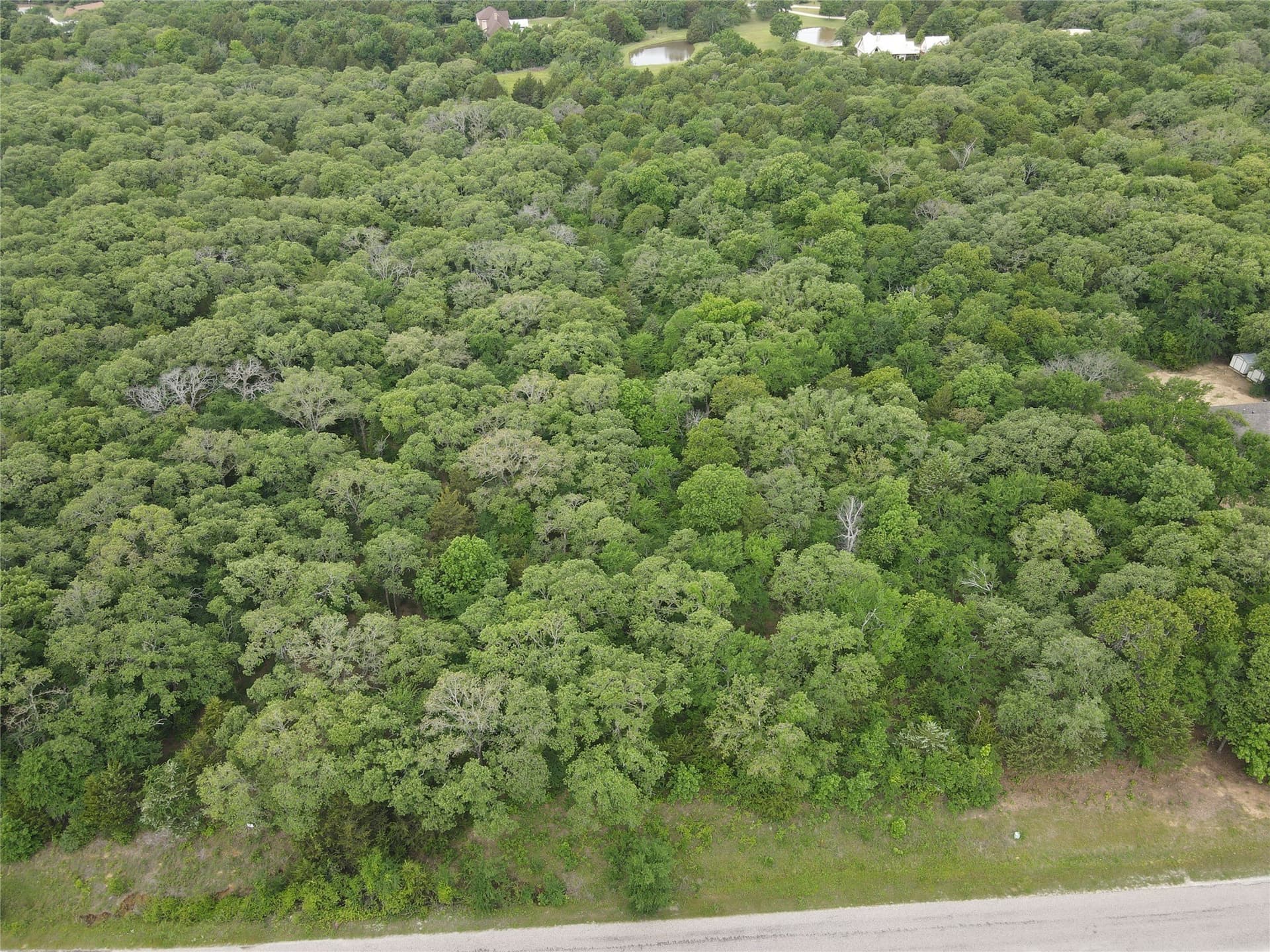 5.05 acres in Cooke County gallery image 4