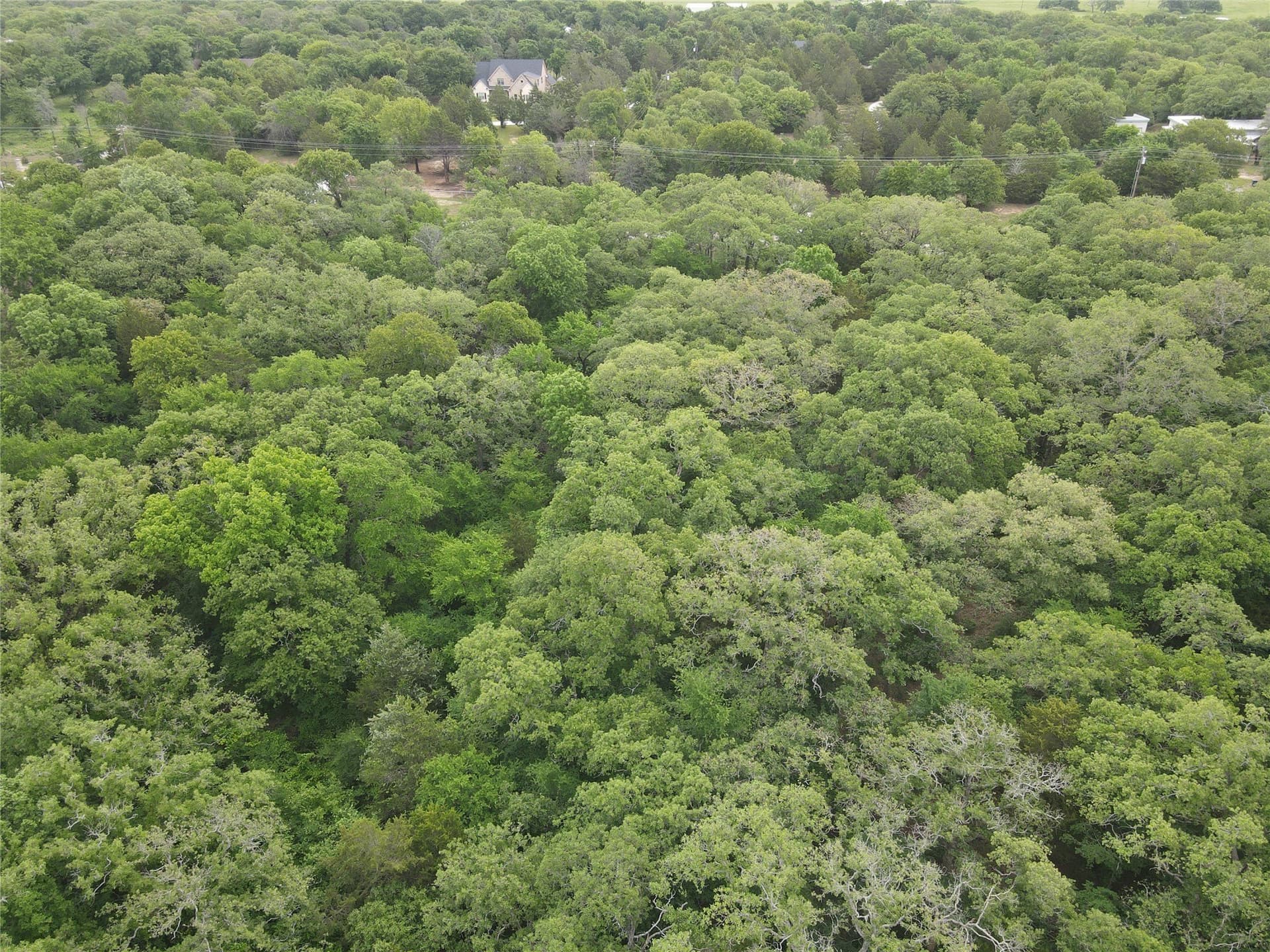 5.05 acres in Cooke County - photo 11
