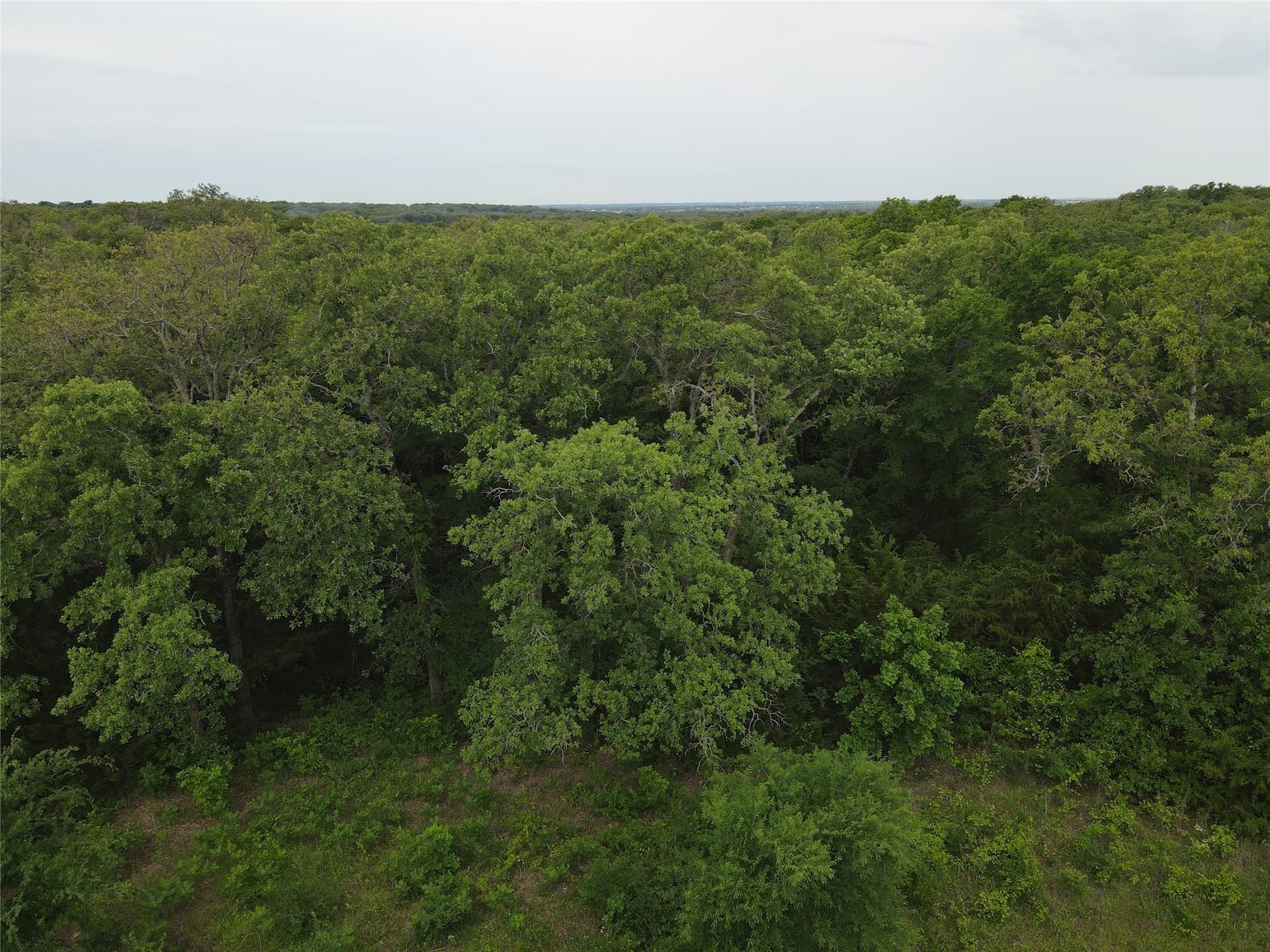 5.05 acres in Cooke County - photo 6