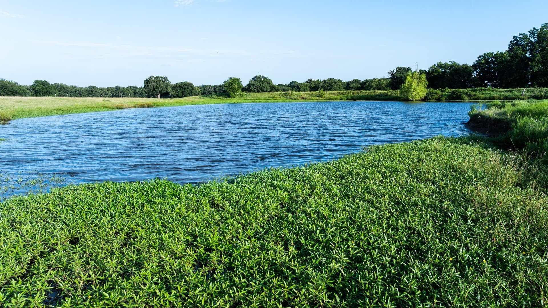 70 acres in Grayson County - photo 29