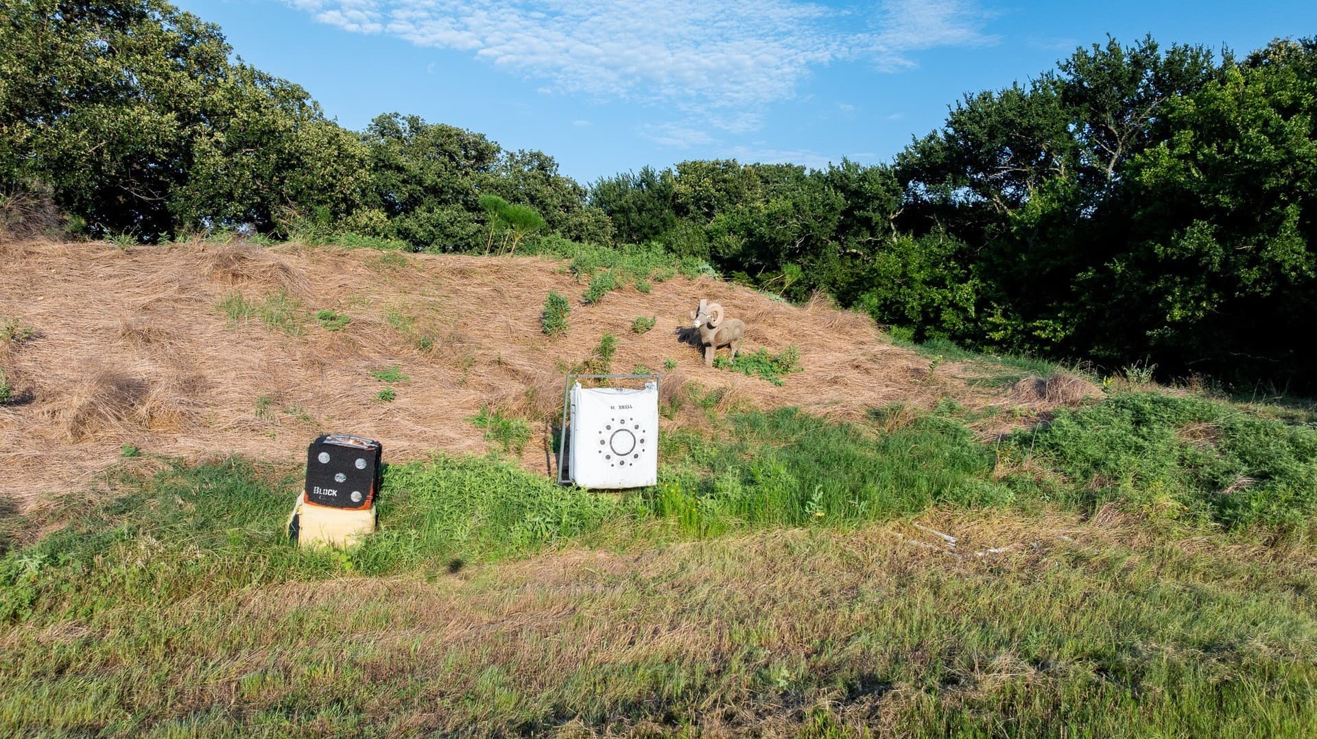 70 acres in Grayson County - photo 34
