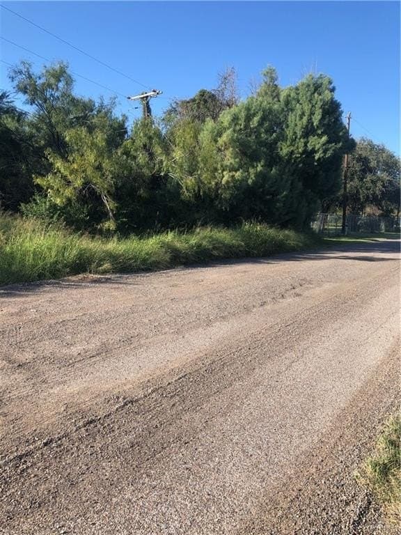 4.78 acres in Hidalgo County - photo 2