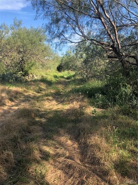 4.78 acres in Hidalgo County - photo 3