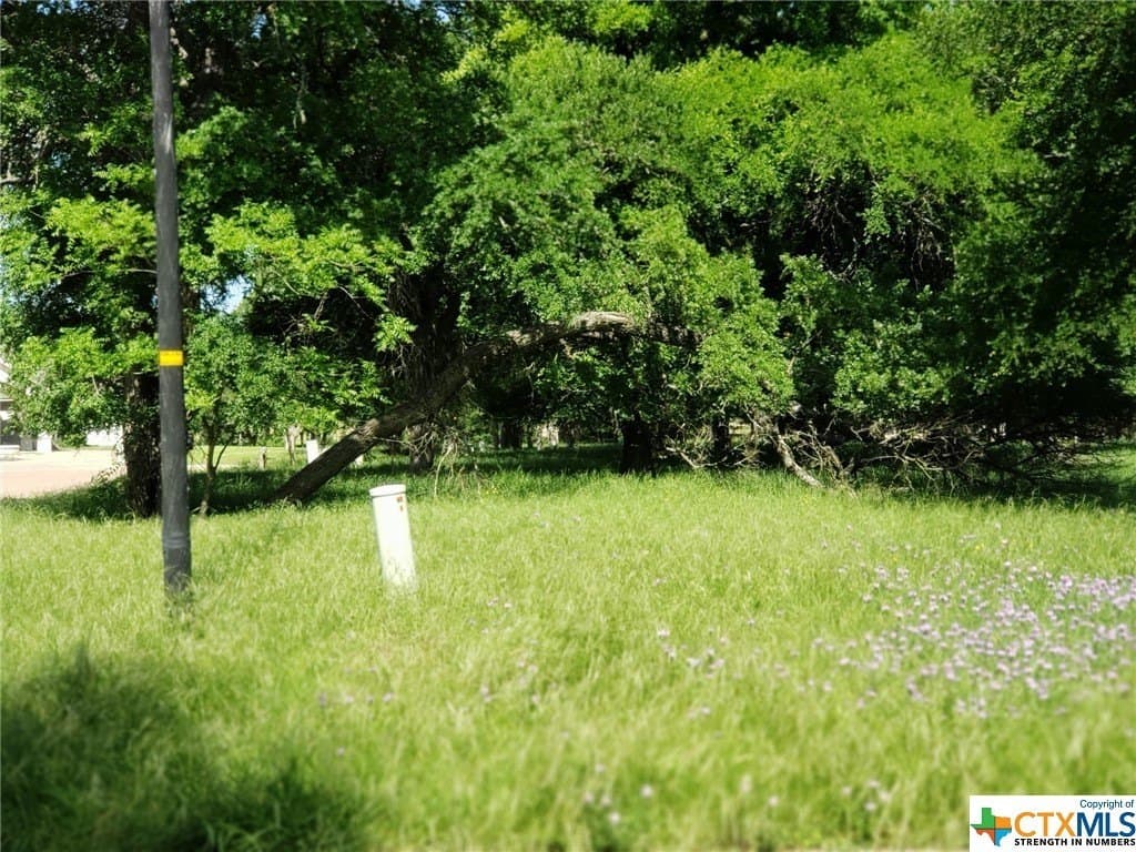 0.52 acres in Bell County gallery image 2