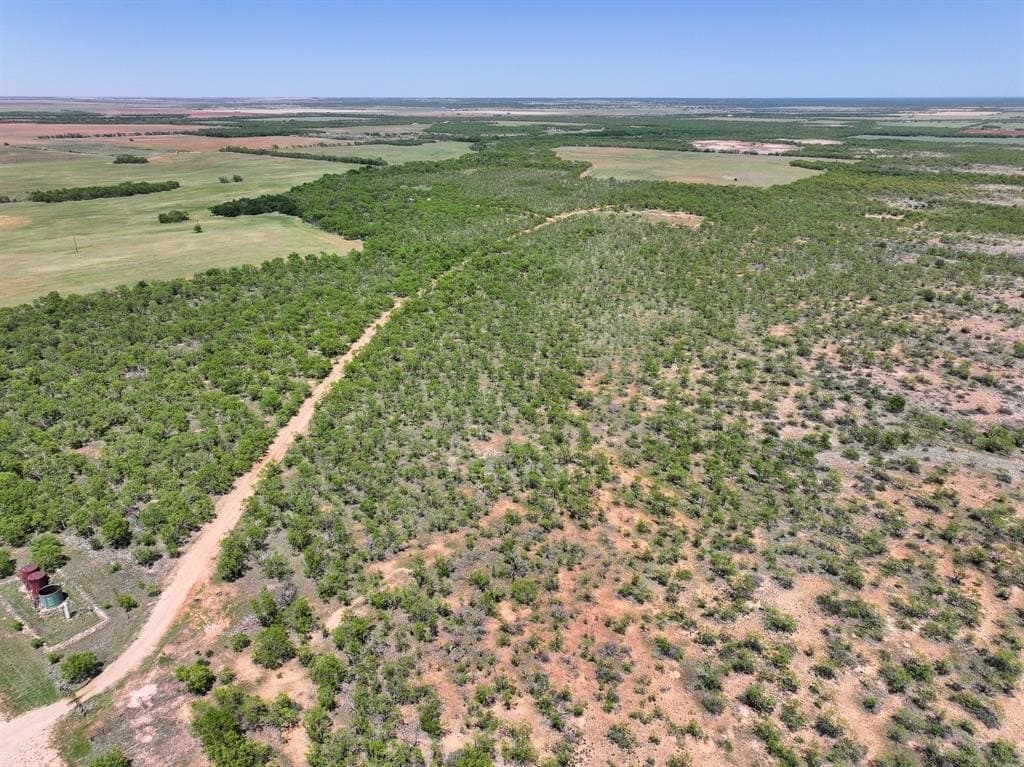 10.01 acres in Jones County gallery image 2