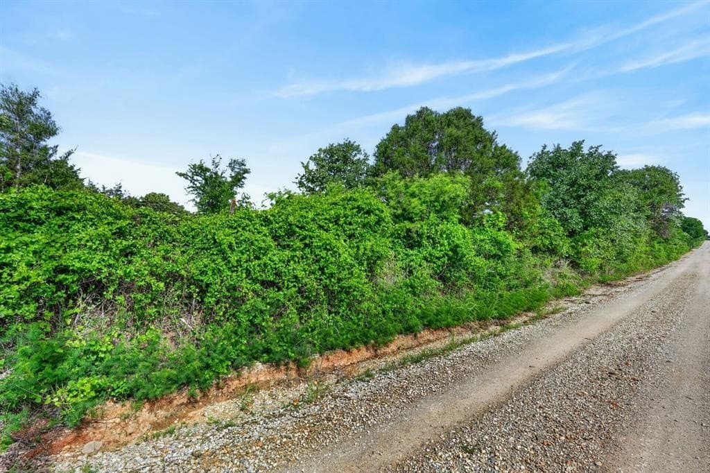 6.63 acres in Palo Pinto County gallery image 2