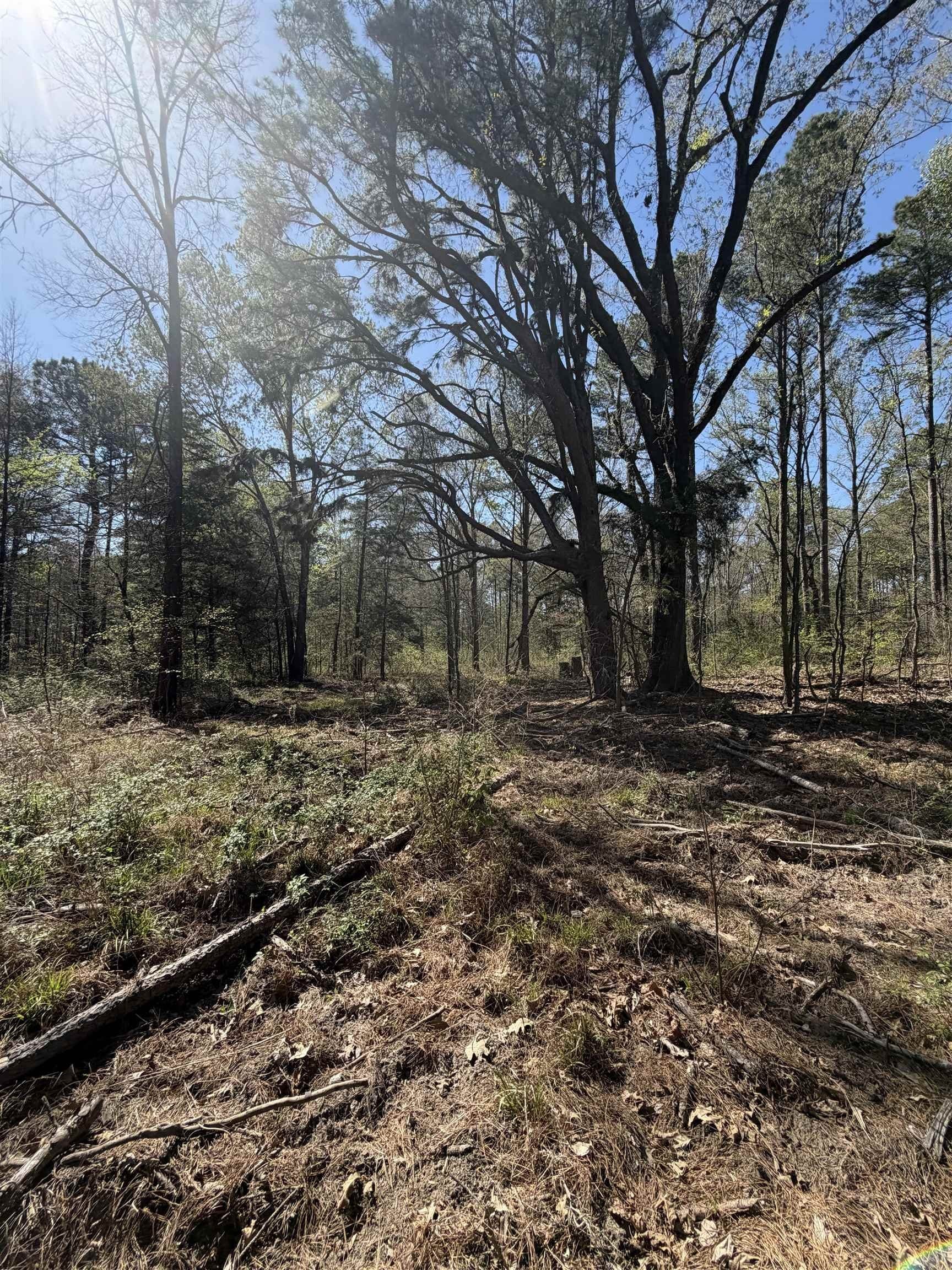 23.03 acres in Texas County - photo 6