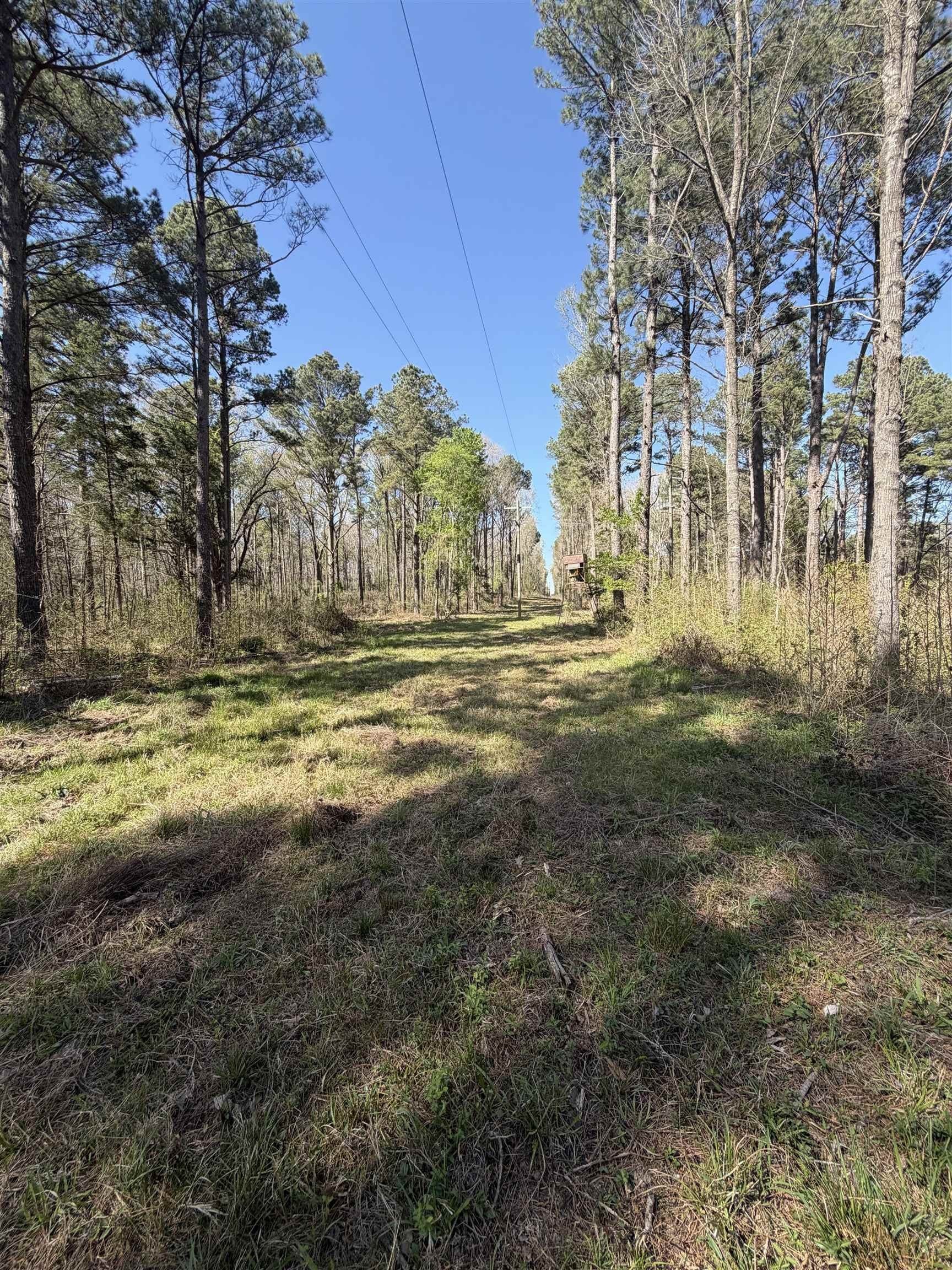 23.03 acres in Texas County - photo 5