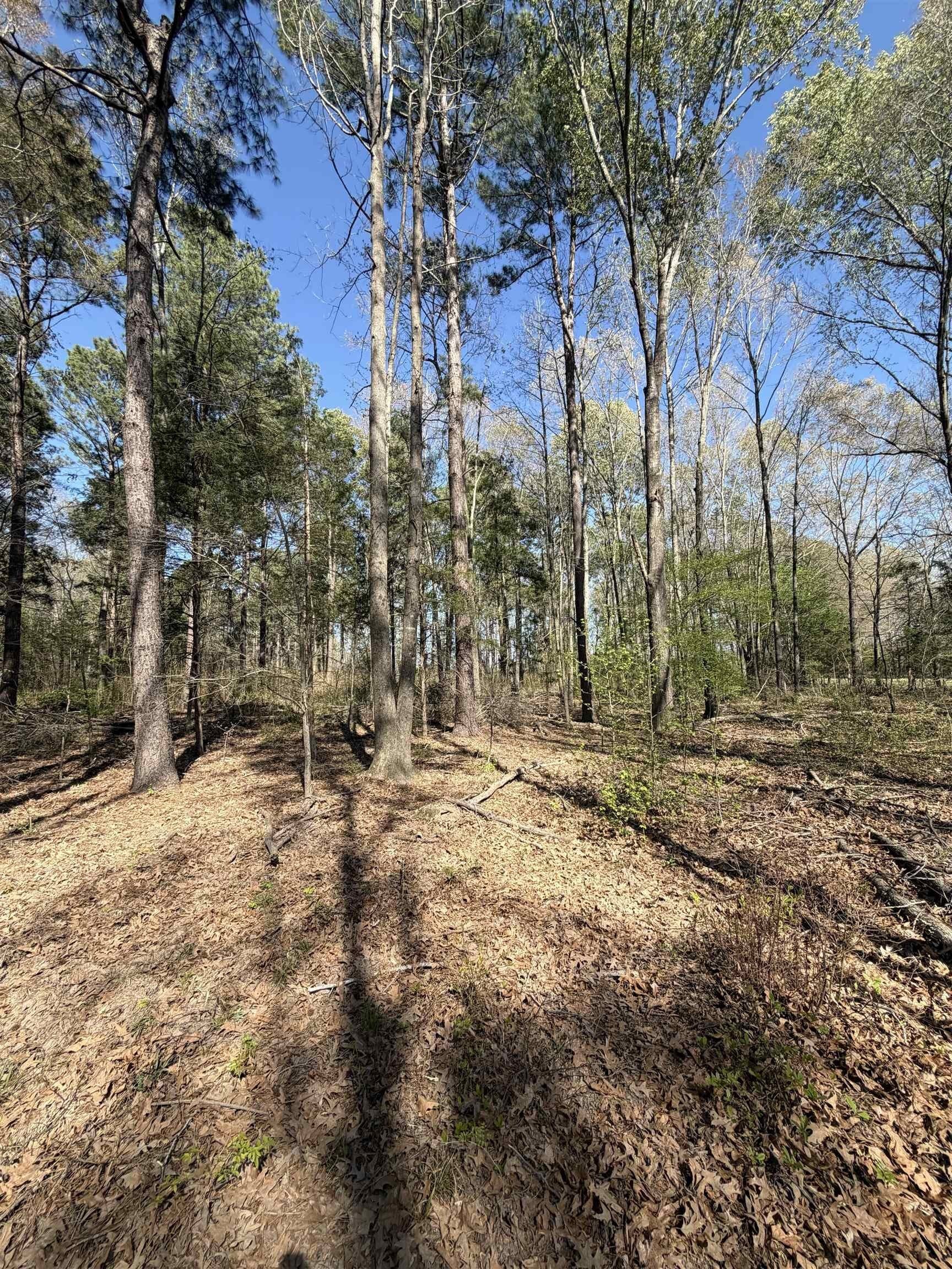 23.03 acres in Texas County - photo 15