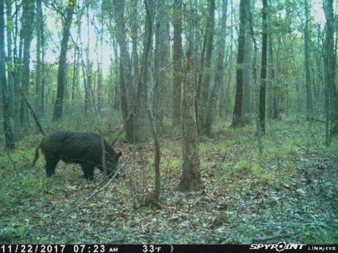 23.03 acres in Texas County - photo 18