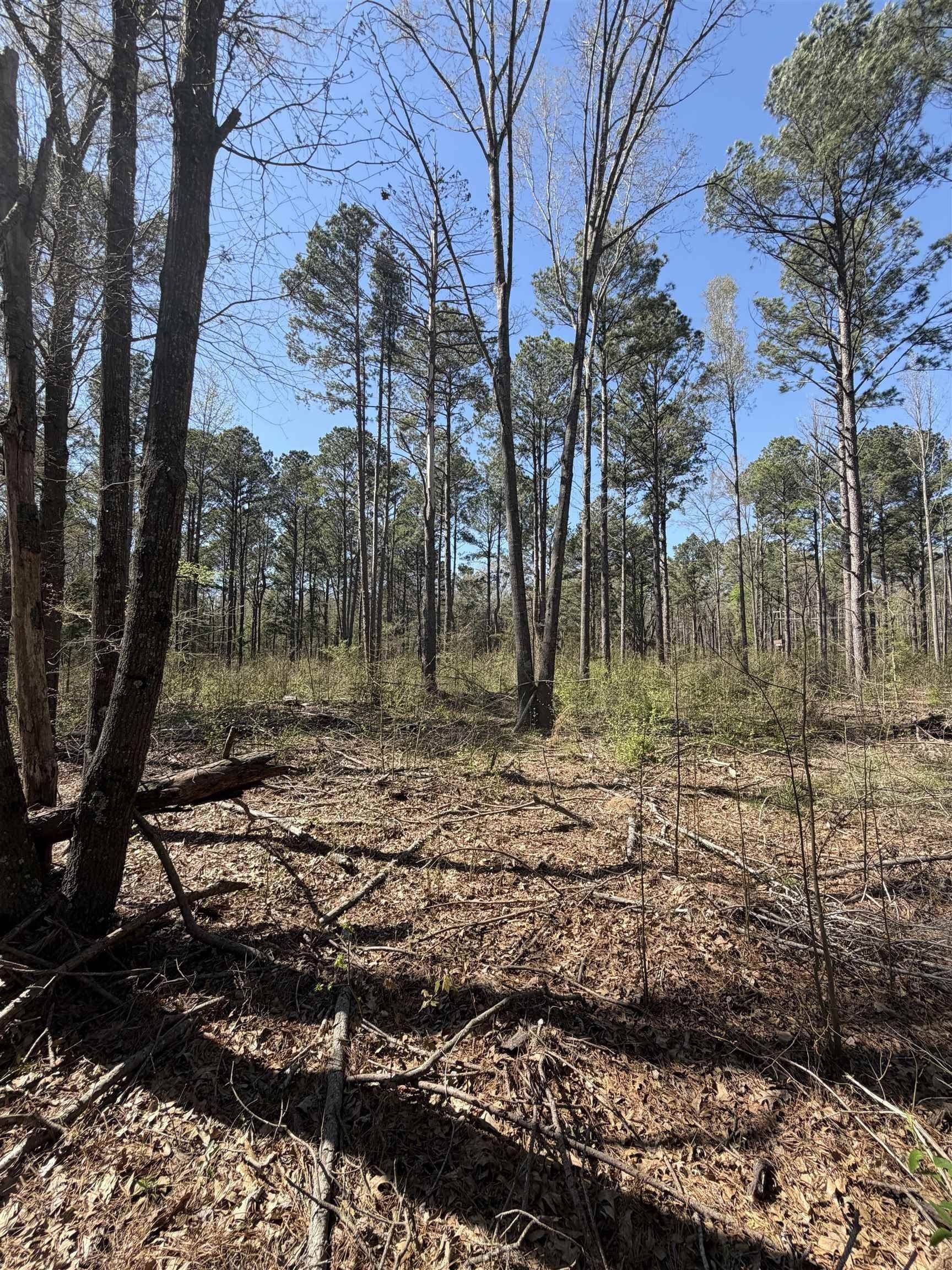 23.03 acres in Texas County - photo 4