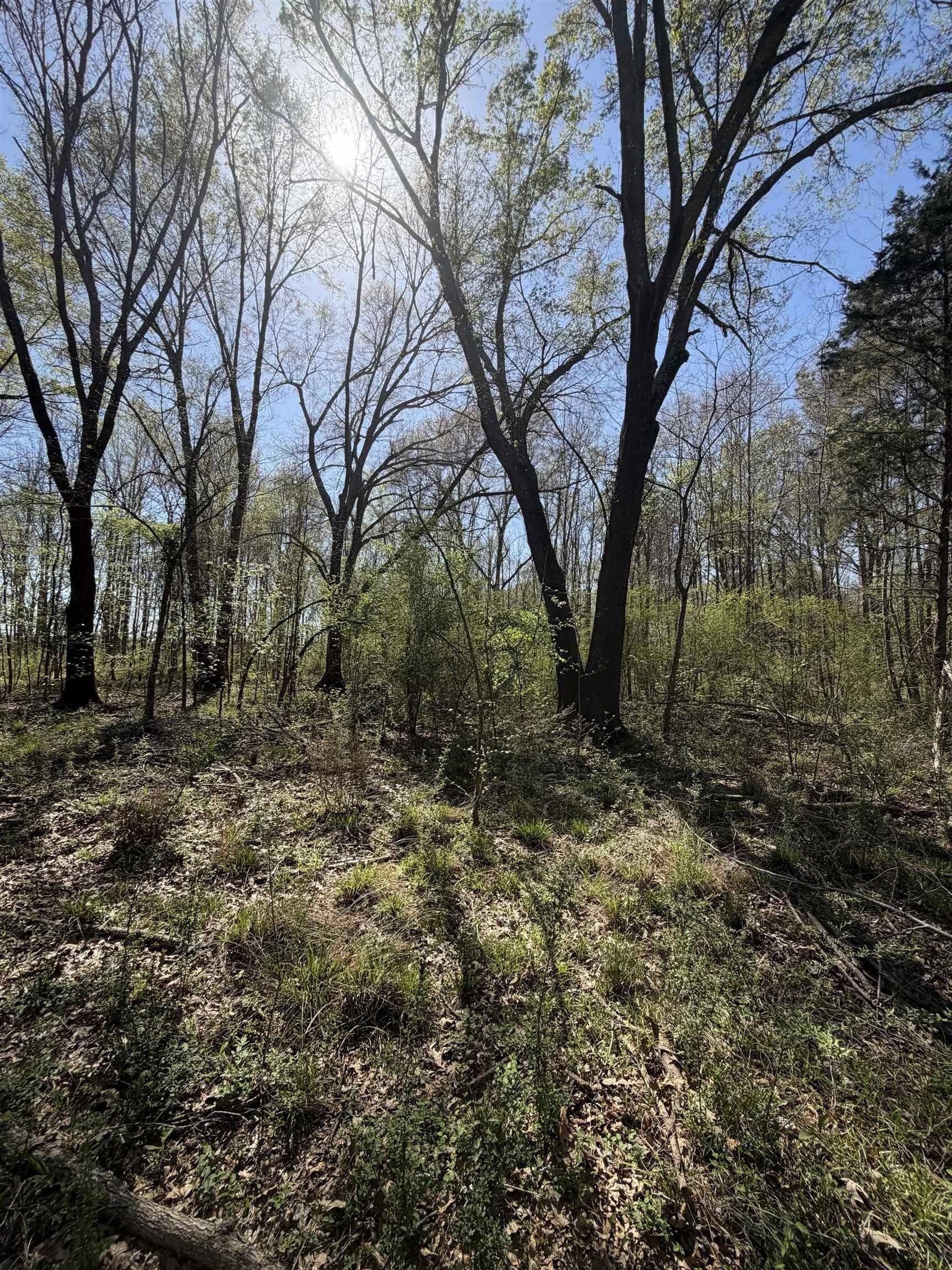 23.03 acres in Texas County - photo 10